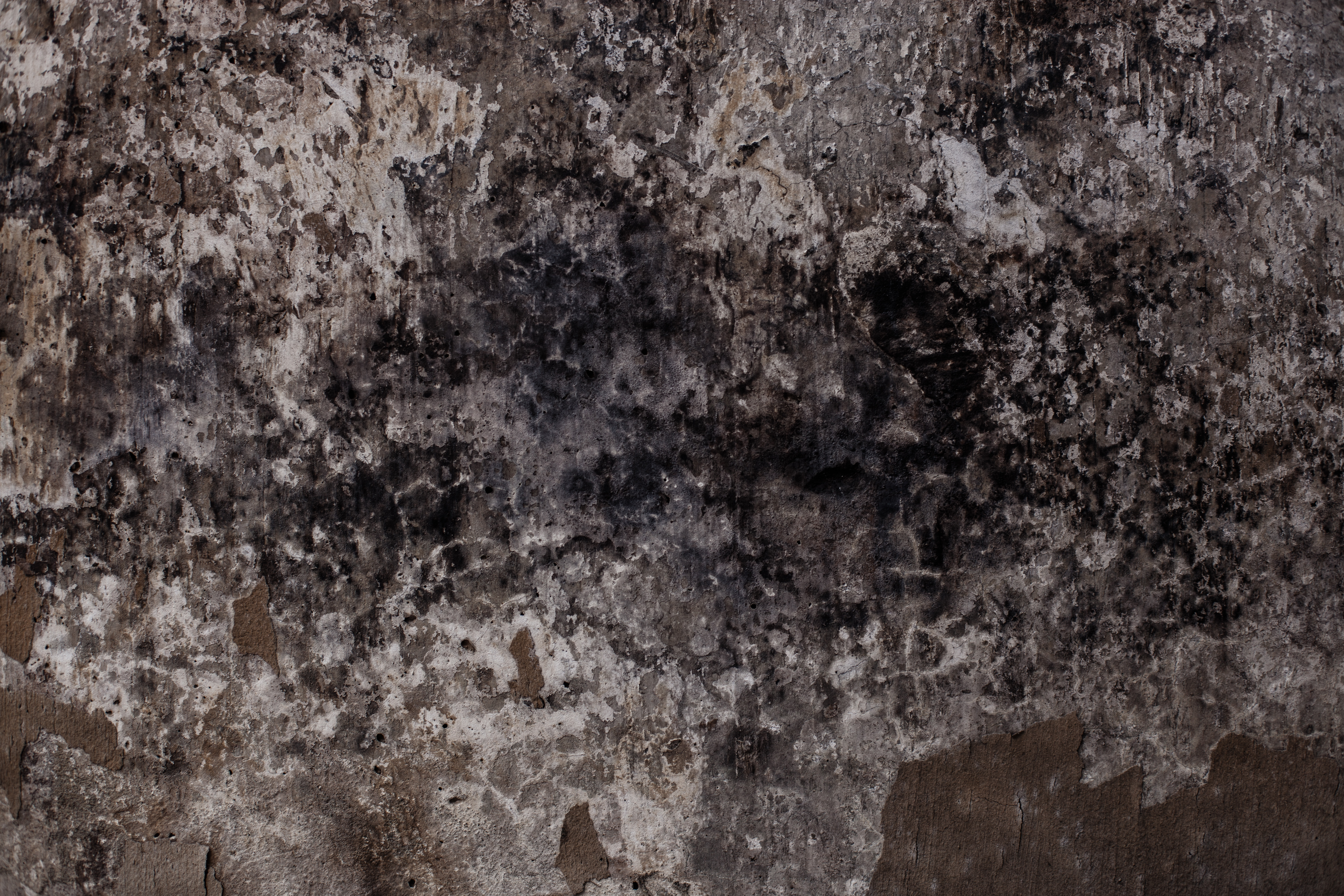 Extreme grungy molded wall texture photo