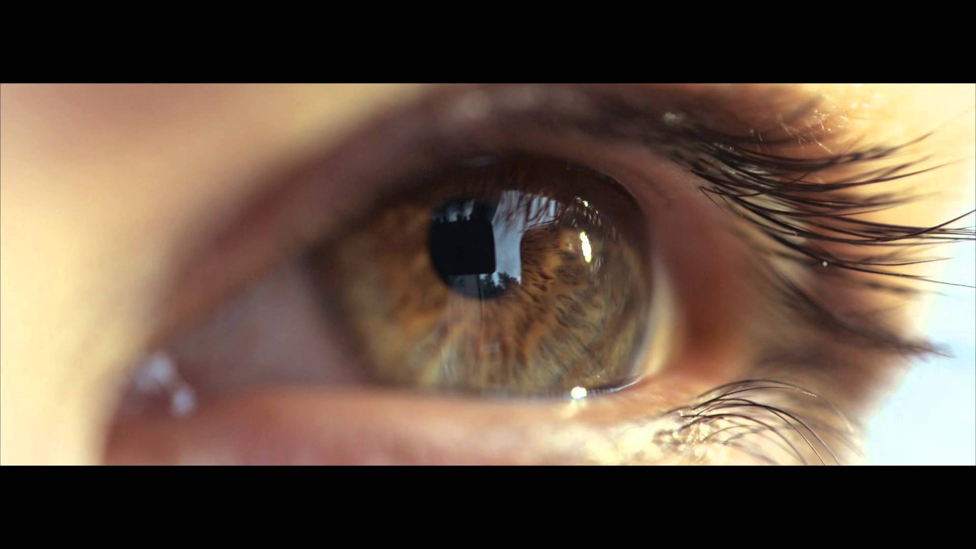 The Human Eye Closeup - Macro slow-motion - YouTube