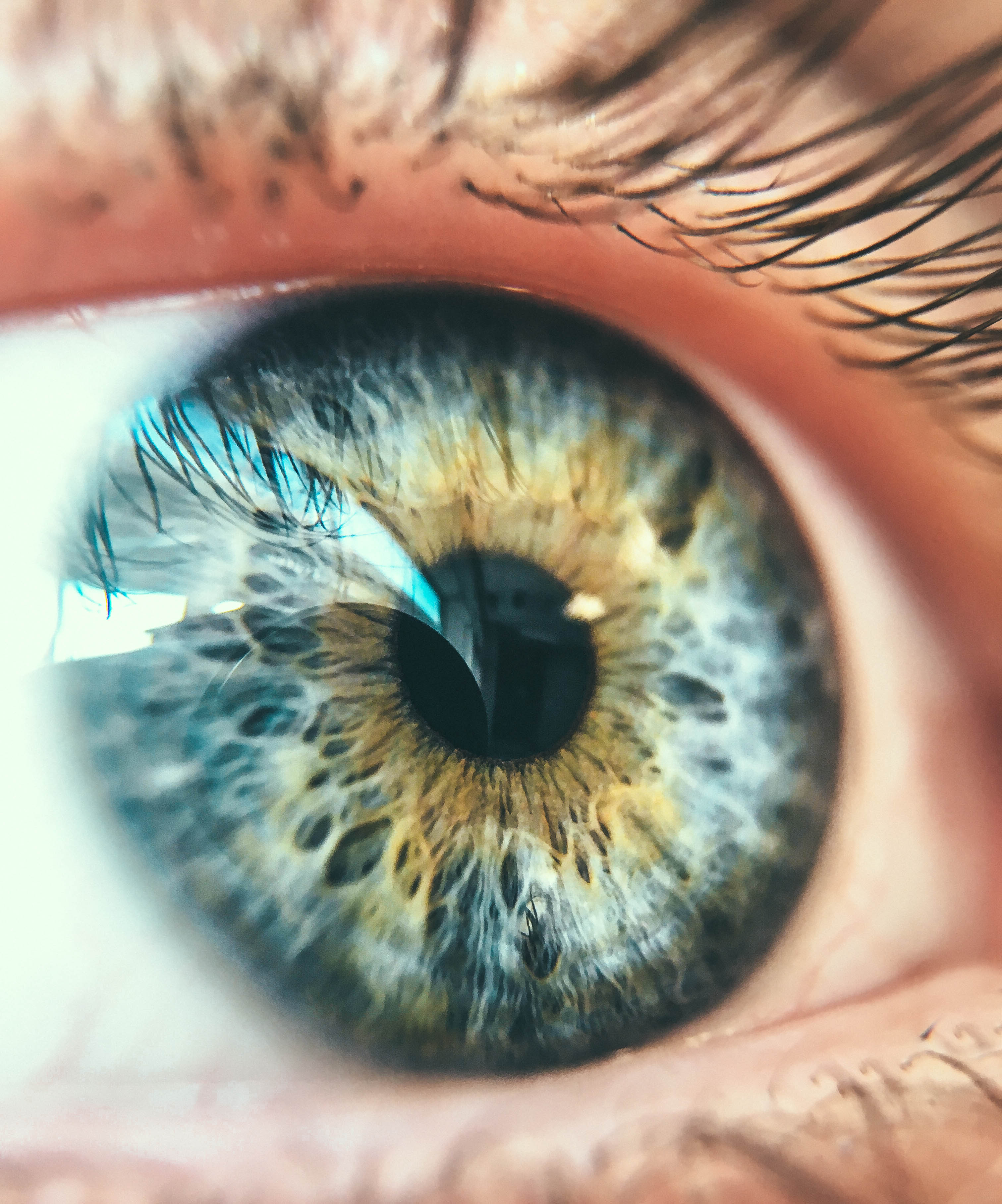 How to Take Stunning Macro Eye Photos