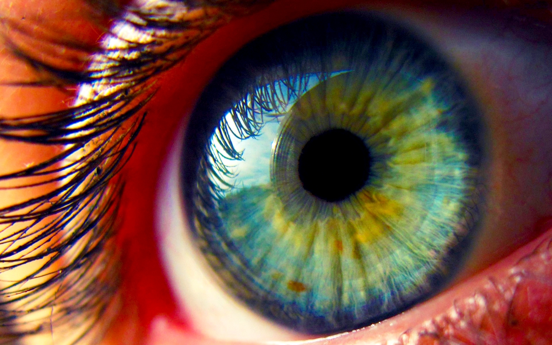 eyelash-reflection-in-the-eye-macro-photography | Jasper Place Media ...