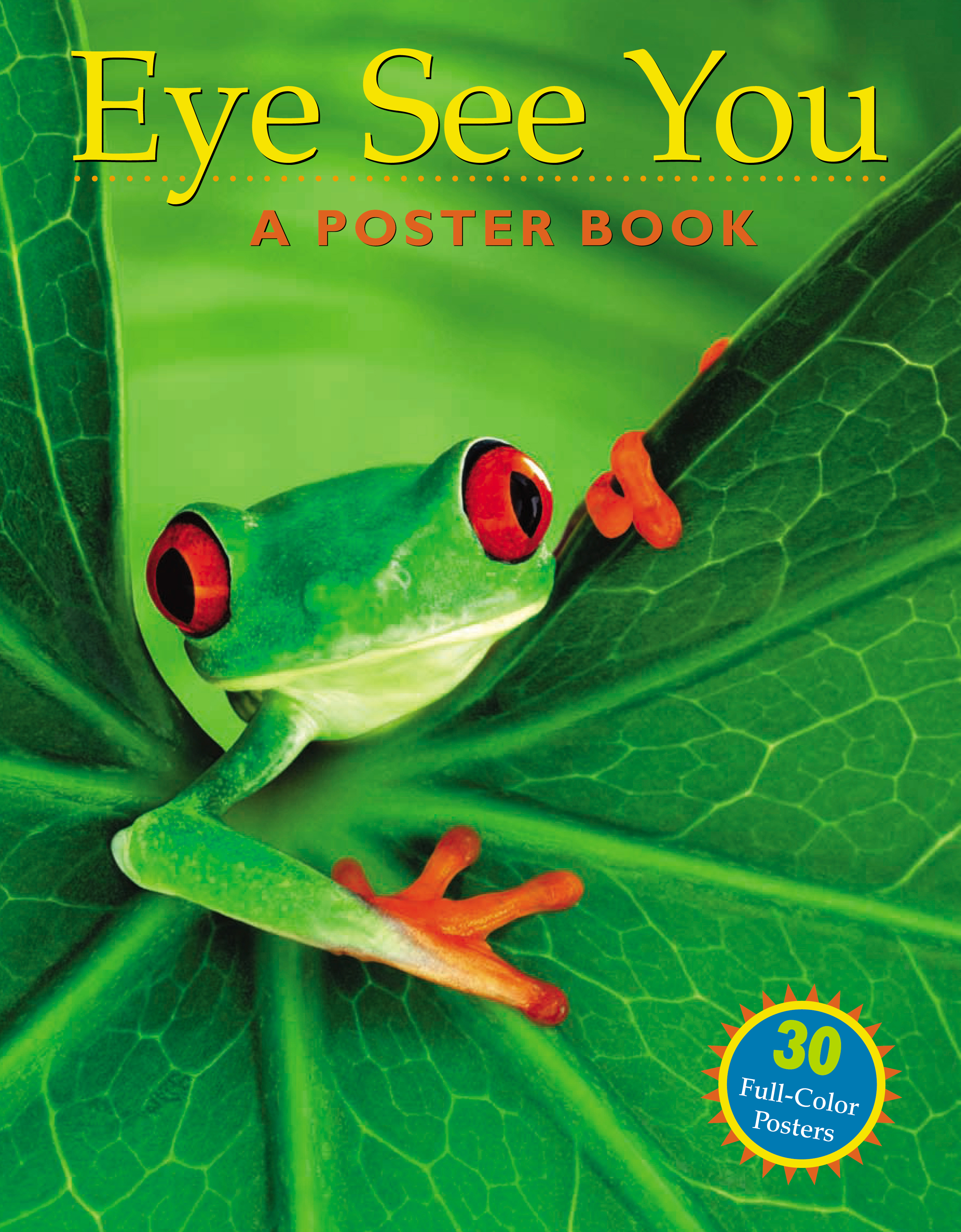 Eye See You: A Poster Book - Workman Publishing