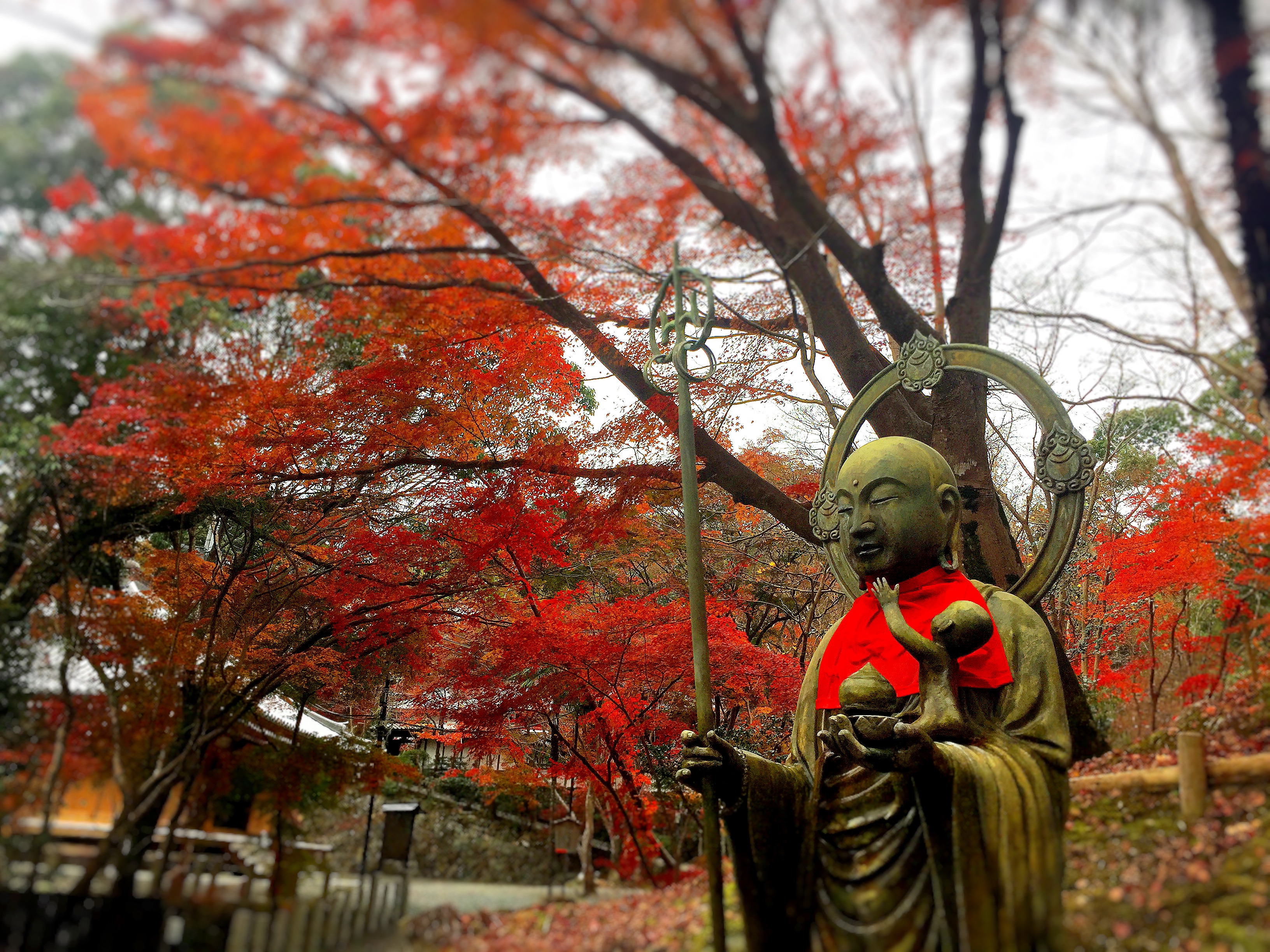 Bidding Farewell to Fall: Hiking in Oyamazaki