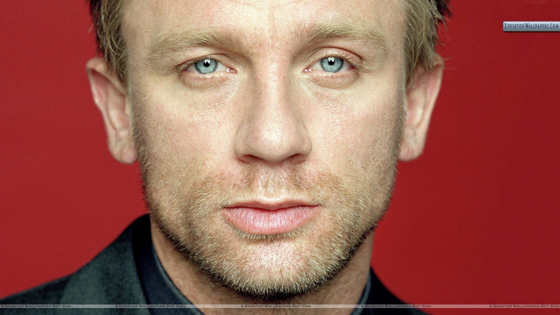 Daniel Craig – Face Closeup Wallpaper