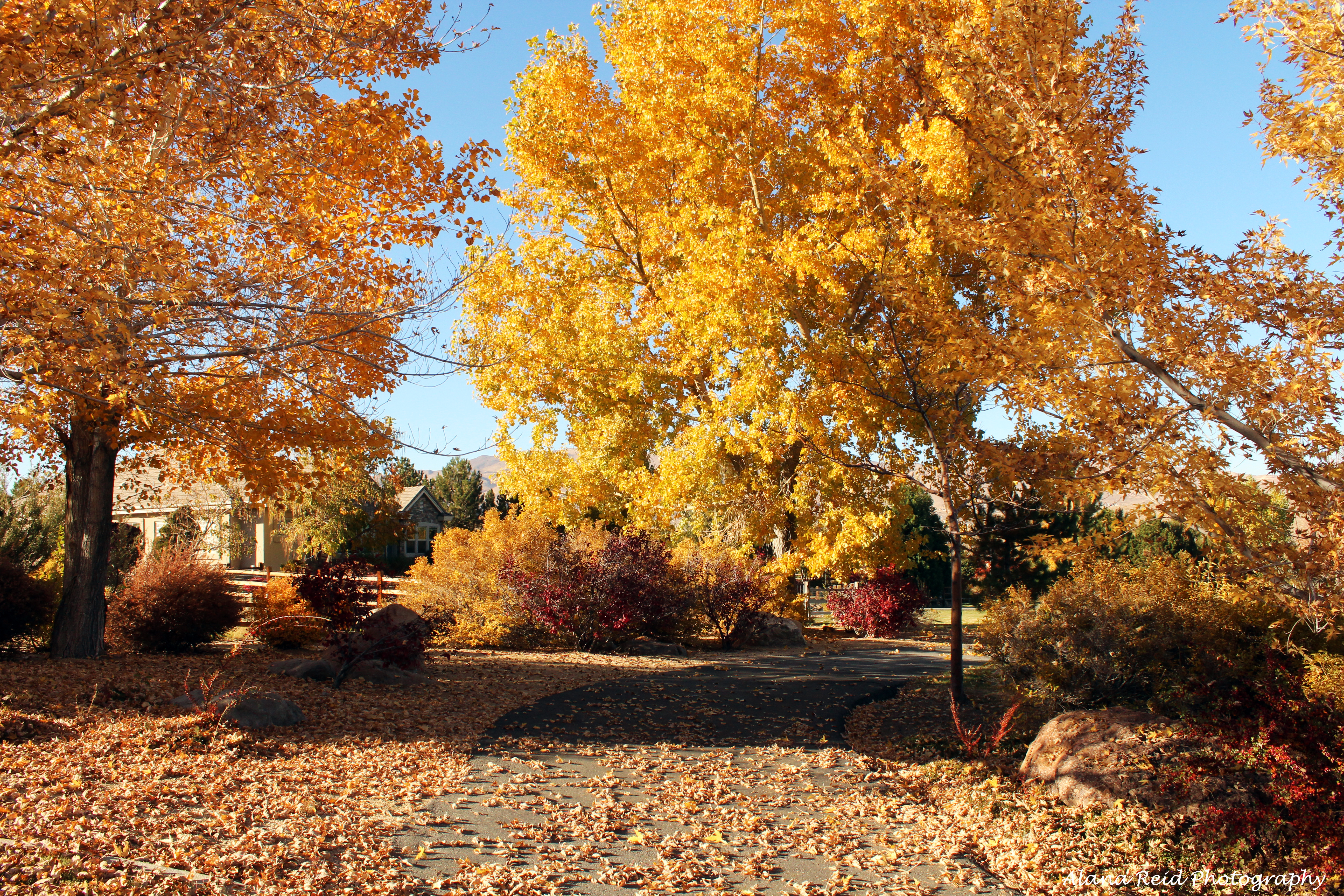 17 Activities To Do In Reno During The Fall Season