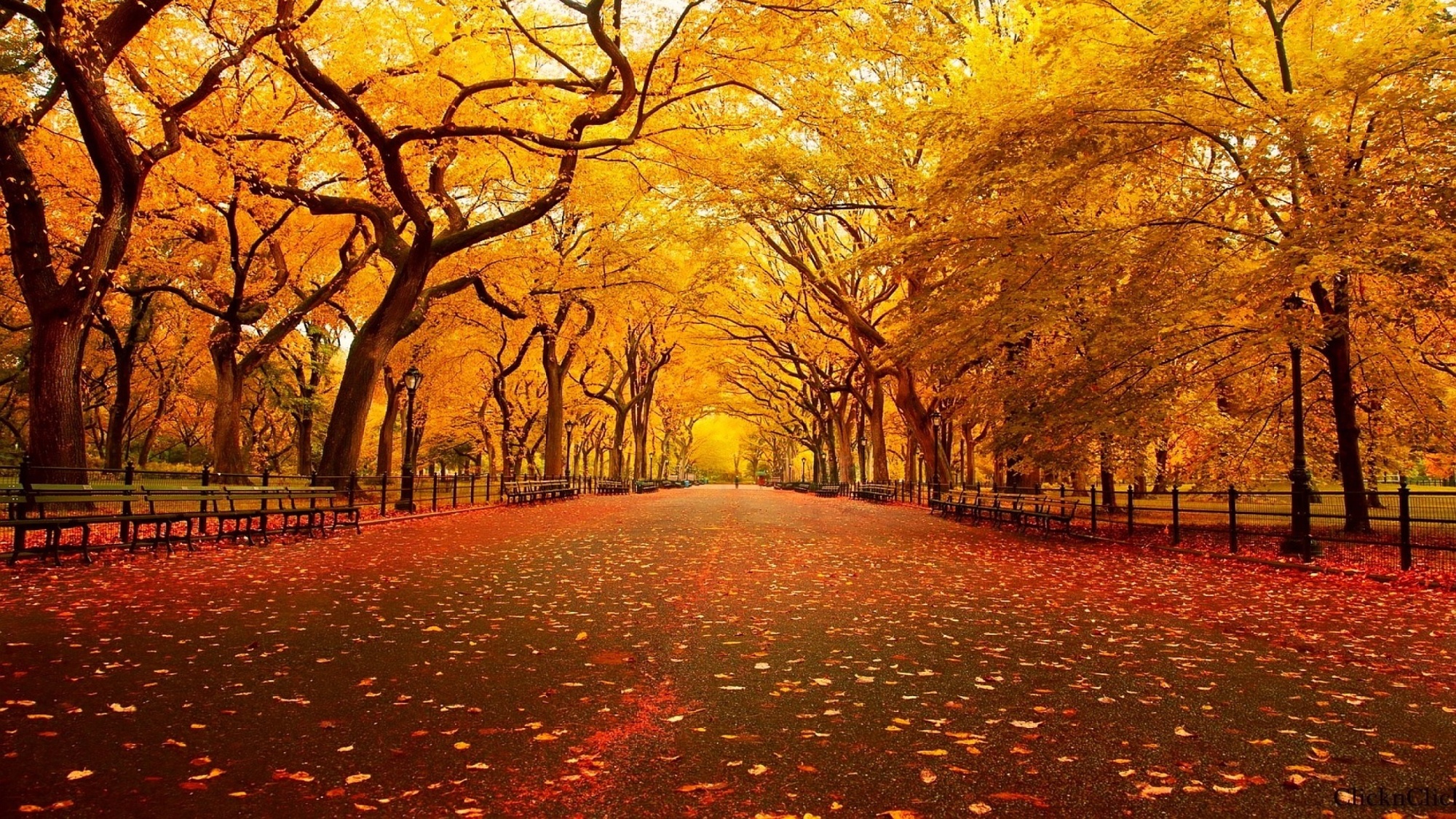 16 Reasons Why Fall is Better Than Summer