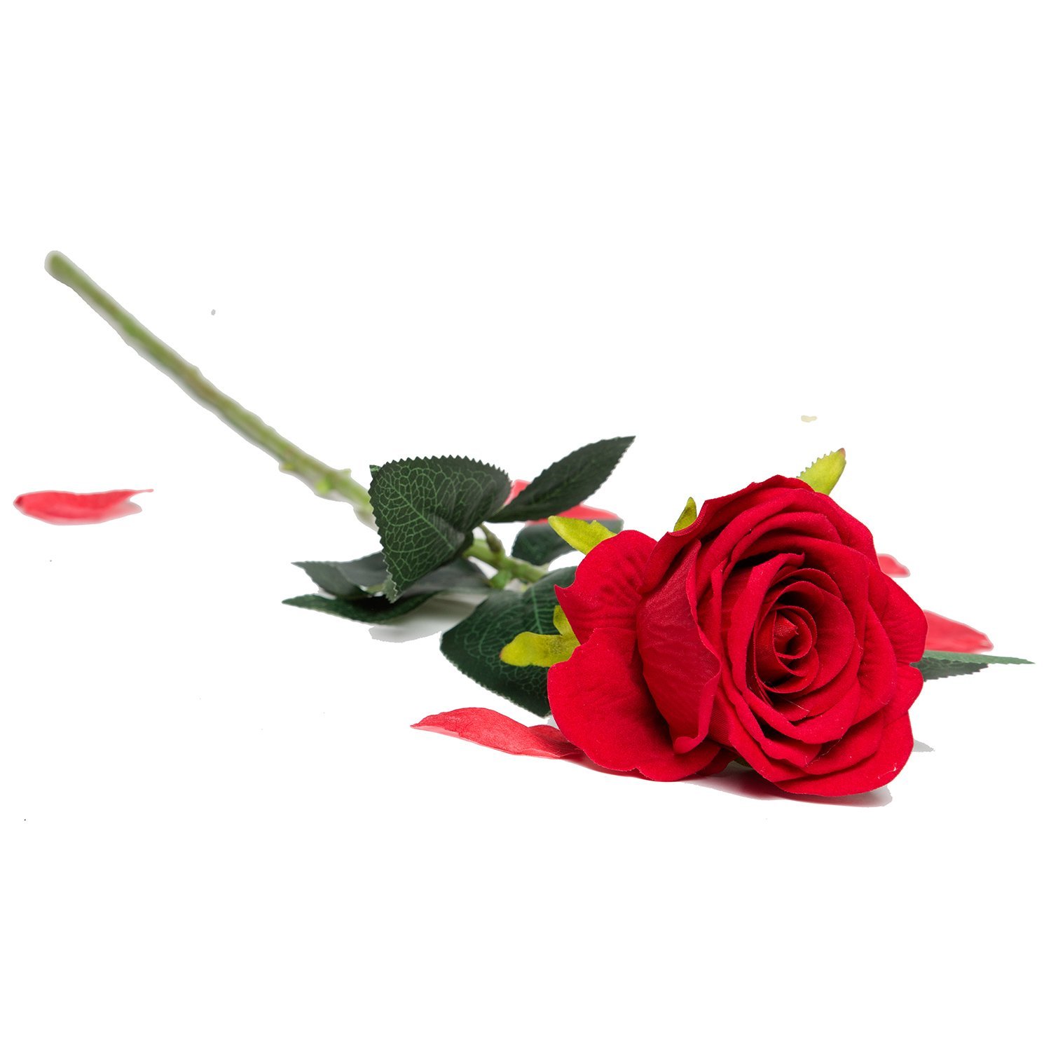Amazon.com: Artificial Silk Roses Red Velvet 30” Long Stemmed, 1 ...