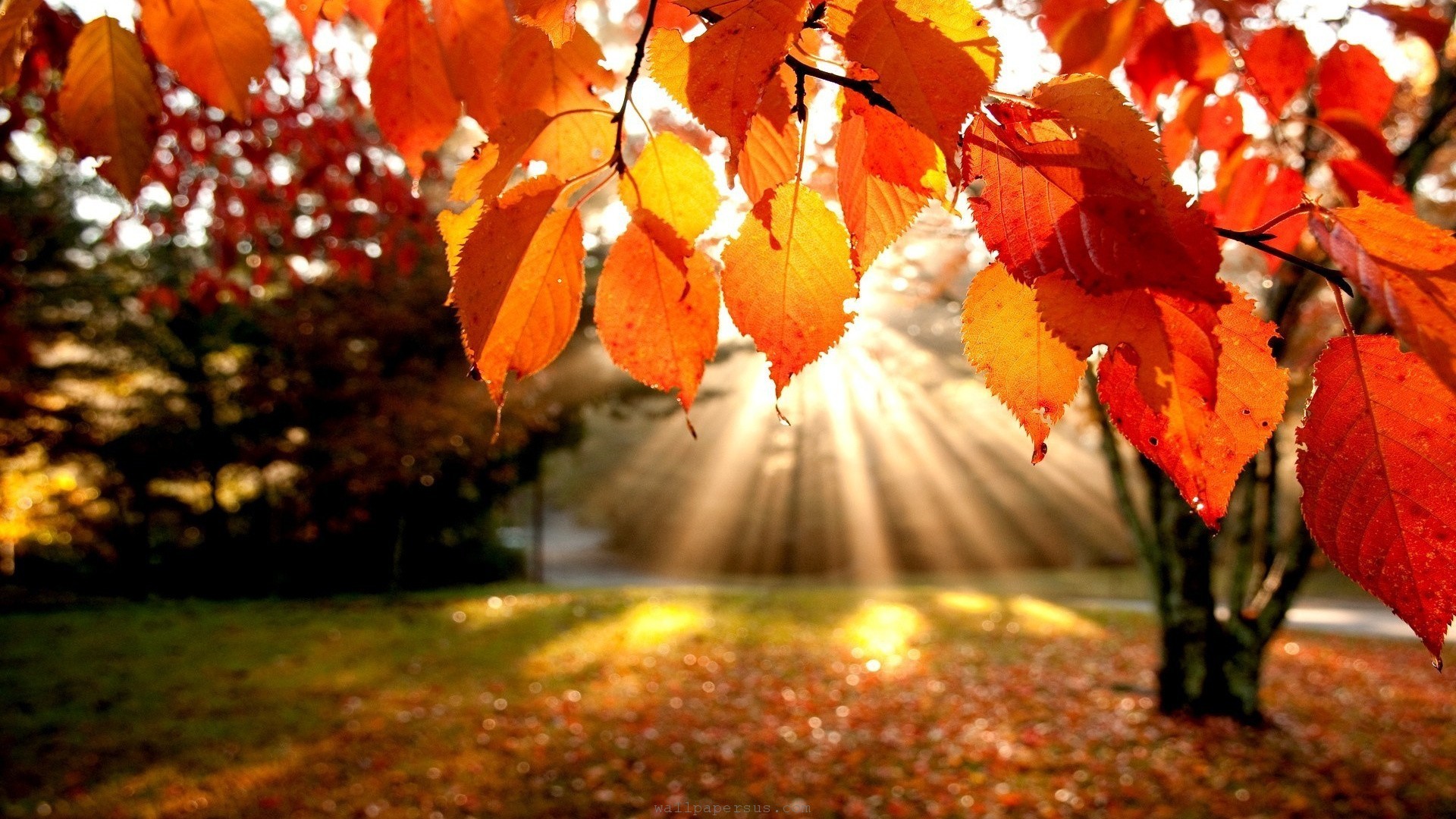 16 Reasons Why Fall Is The Best Time Of Year