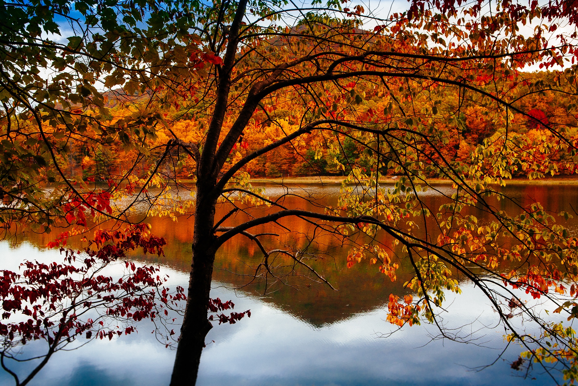 Best Places to See Fall Colors in the Blue Ridge Mountains