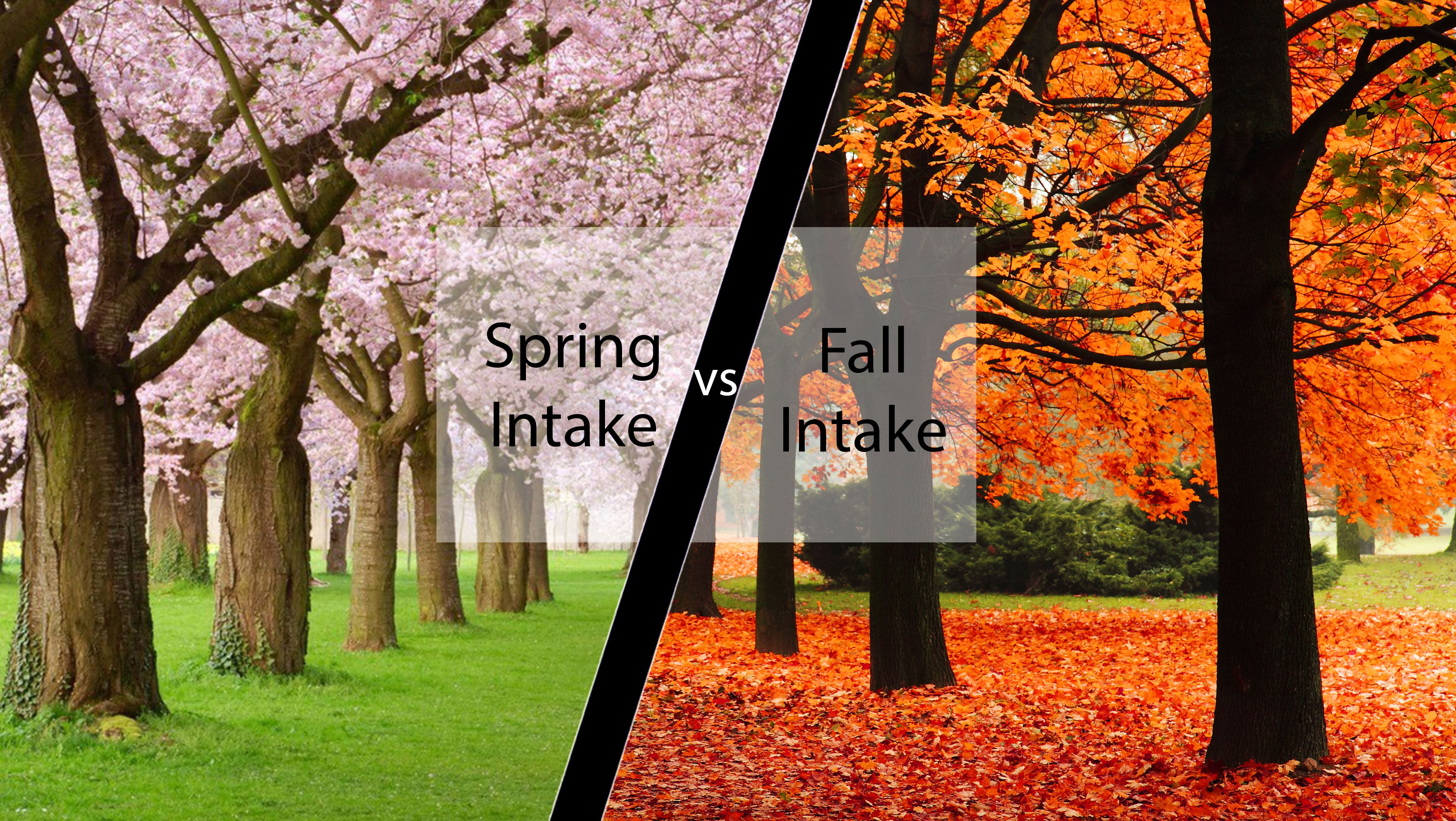 When to apply Fall or Spring intake ? - Collegepond