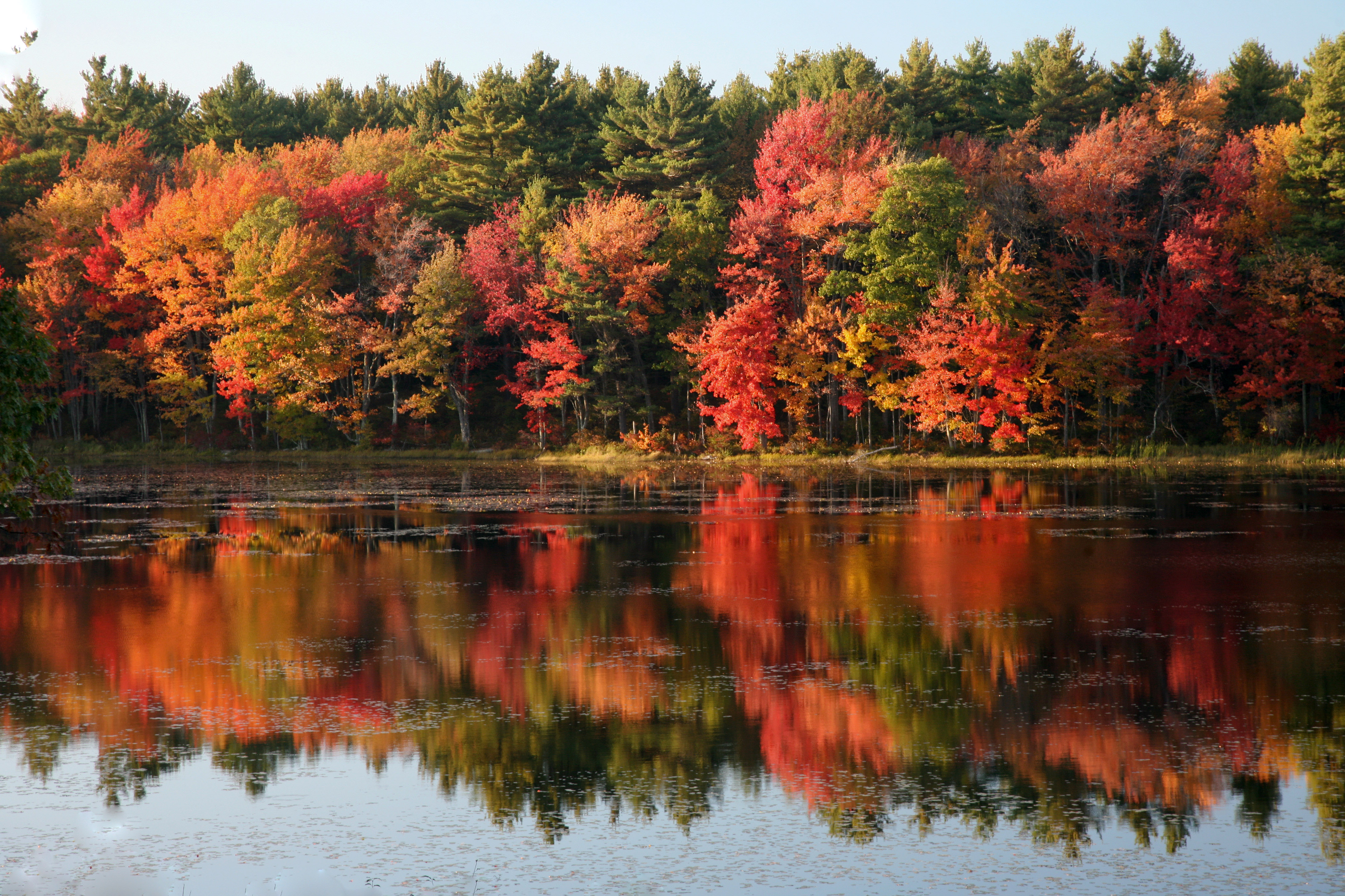 Tips for Shooting Fall Foliage and Autumn Scenes | Northrup.Photo