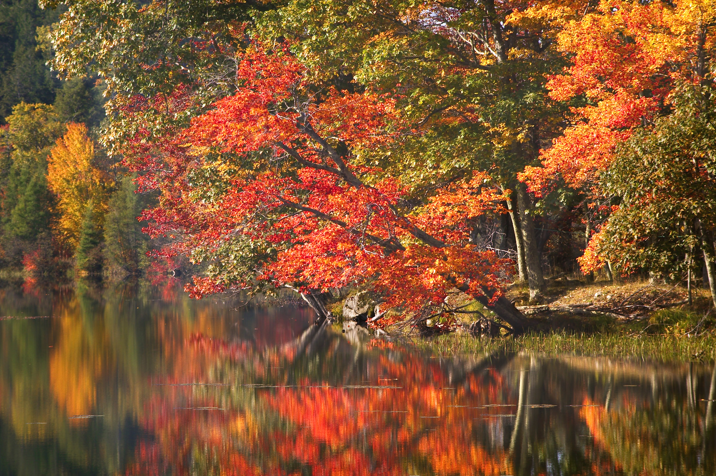 Maine Fall Foliage - Explore Mountain Fall Foliage in Maine