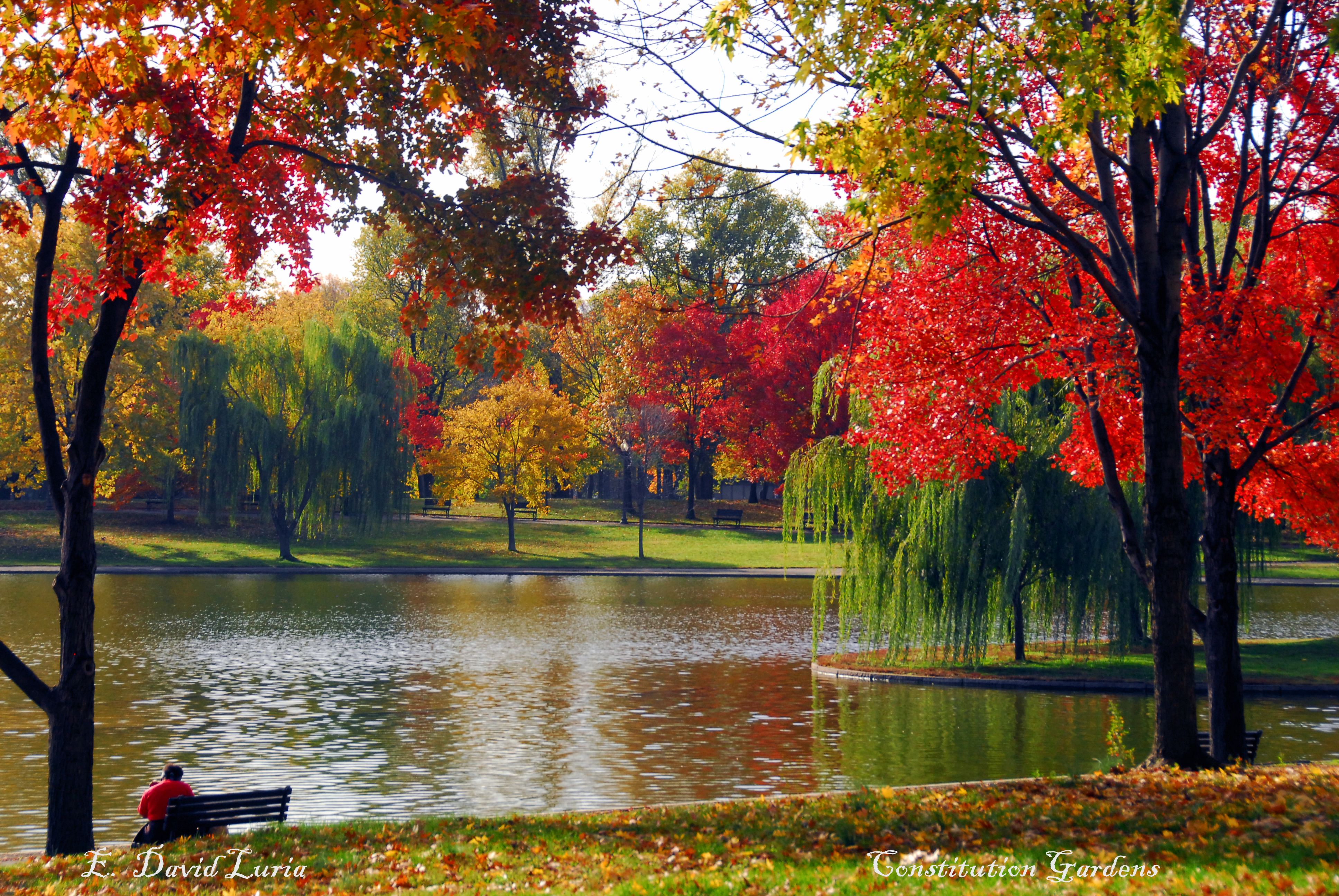 Top 6 Places in DC to Photograph Fall Foliage - Washington Photo ...