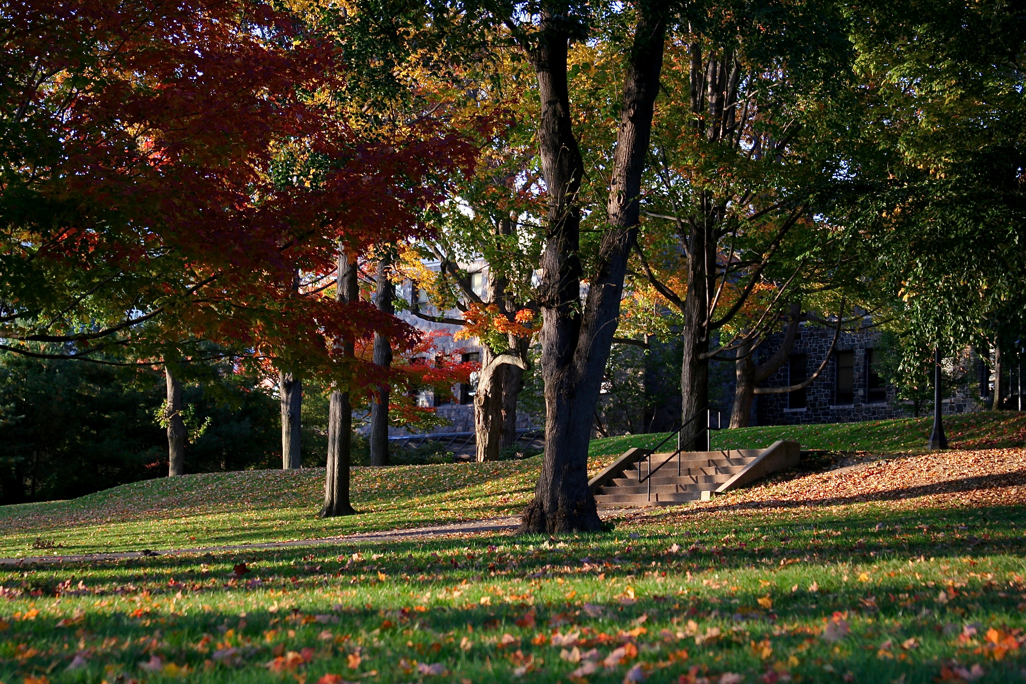 How to Prepare your Yard for Fall - Home Trends Magazine