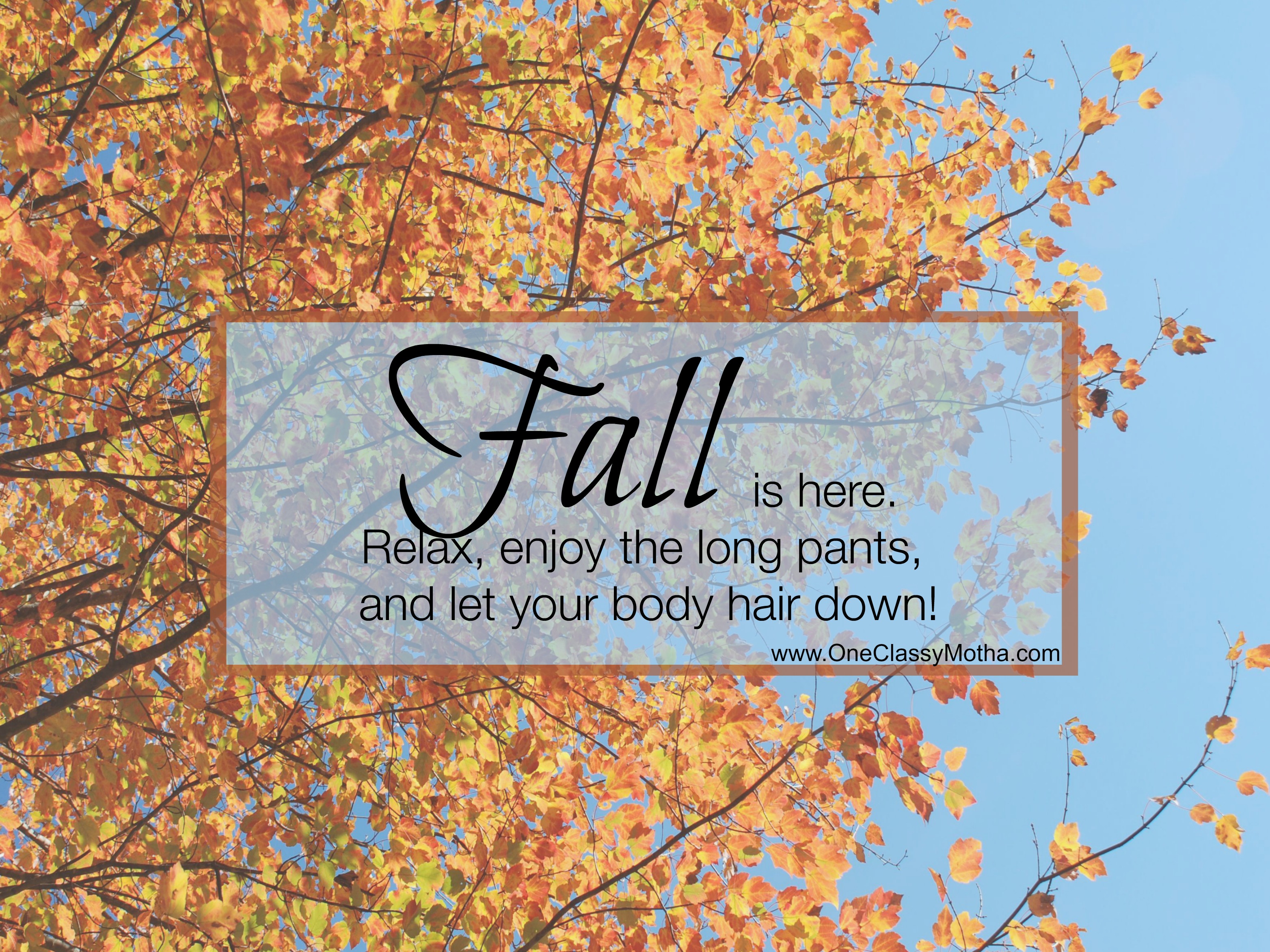 Dear Ladies, Fall is here, relax and let your body hair down!