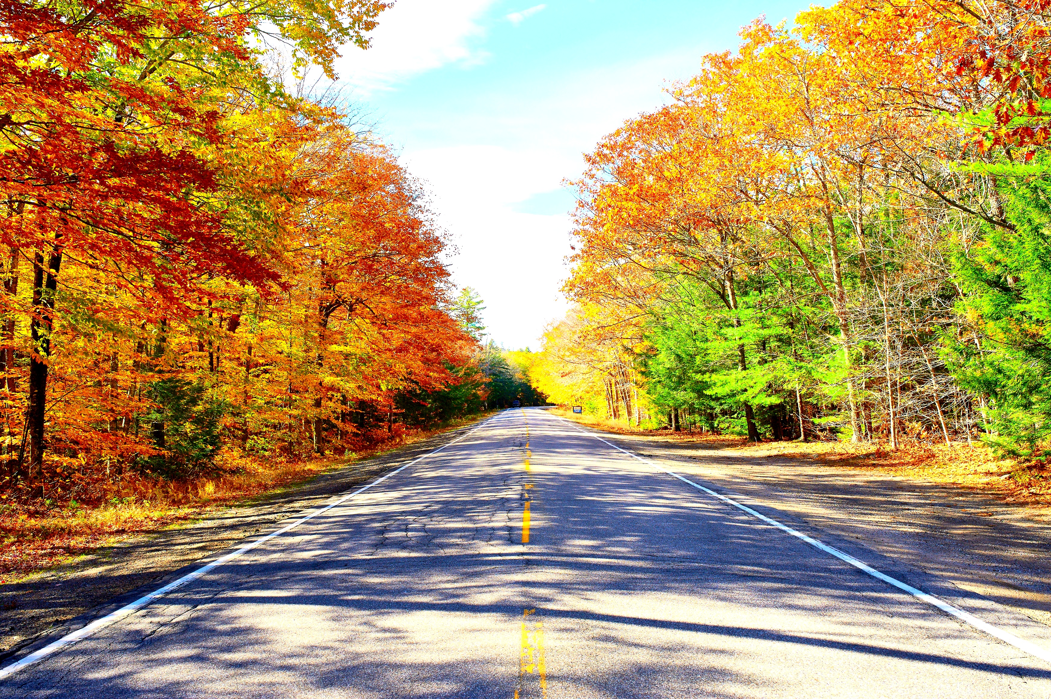 Best Fall Foliage Drives In New Hampshire: Scenic Tours Of Autumn ...