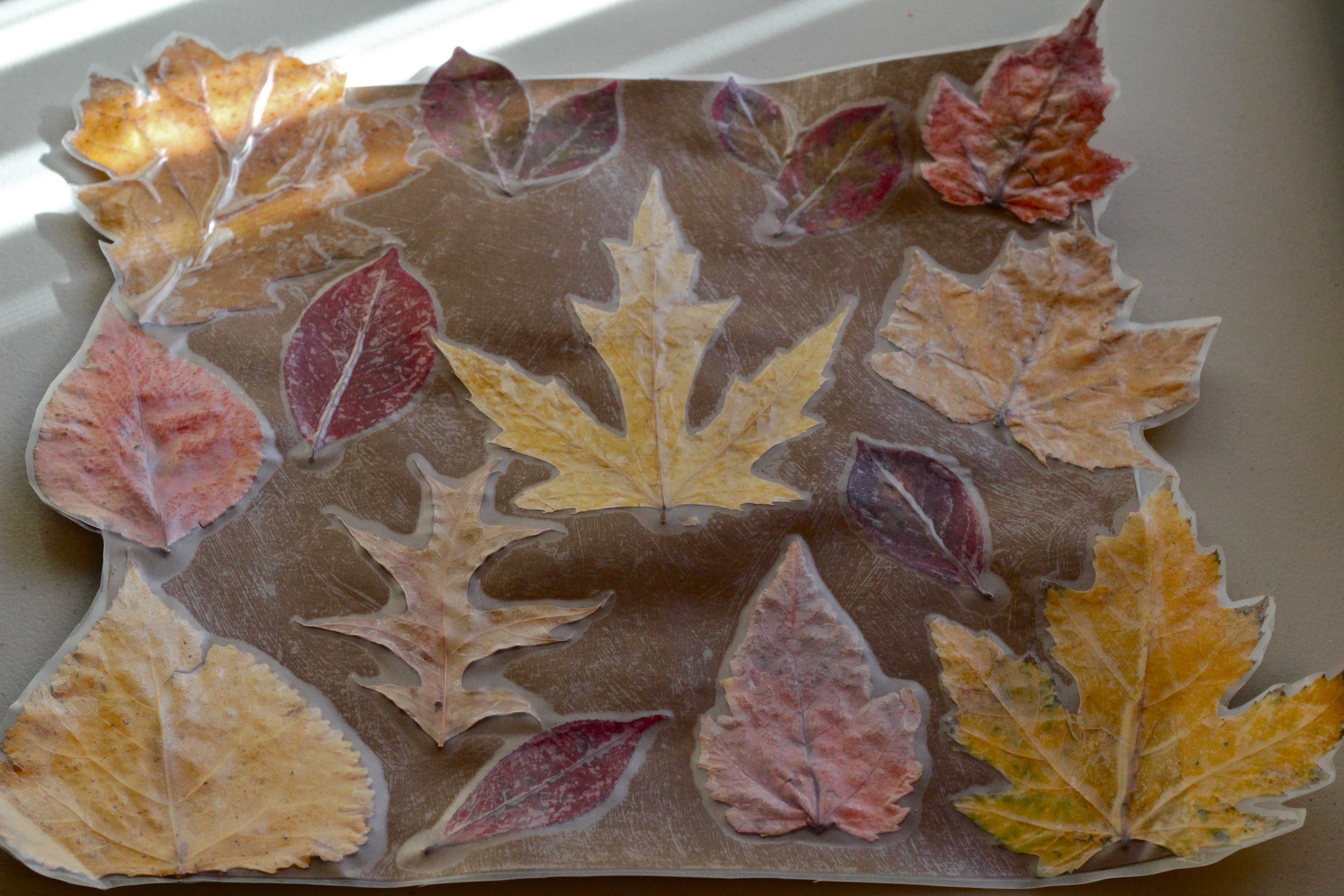 Fall Leaves Placemats–Perfect for Thanksgiving!