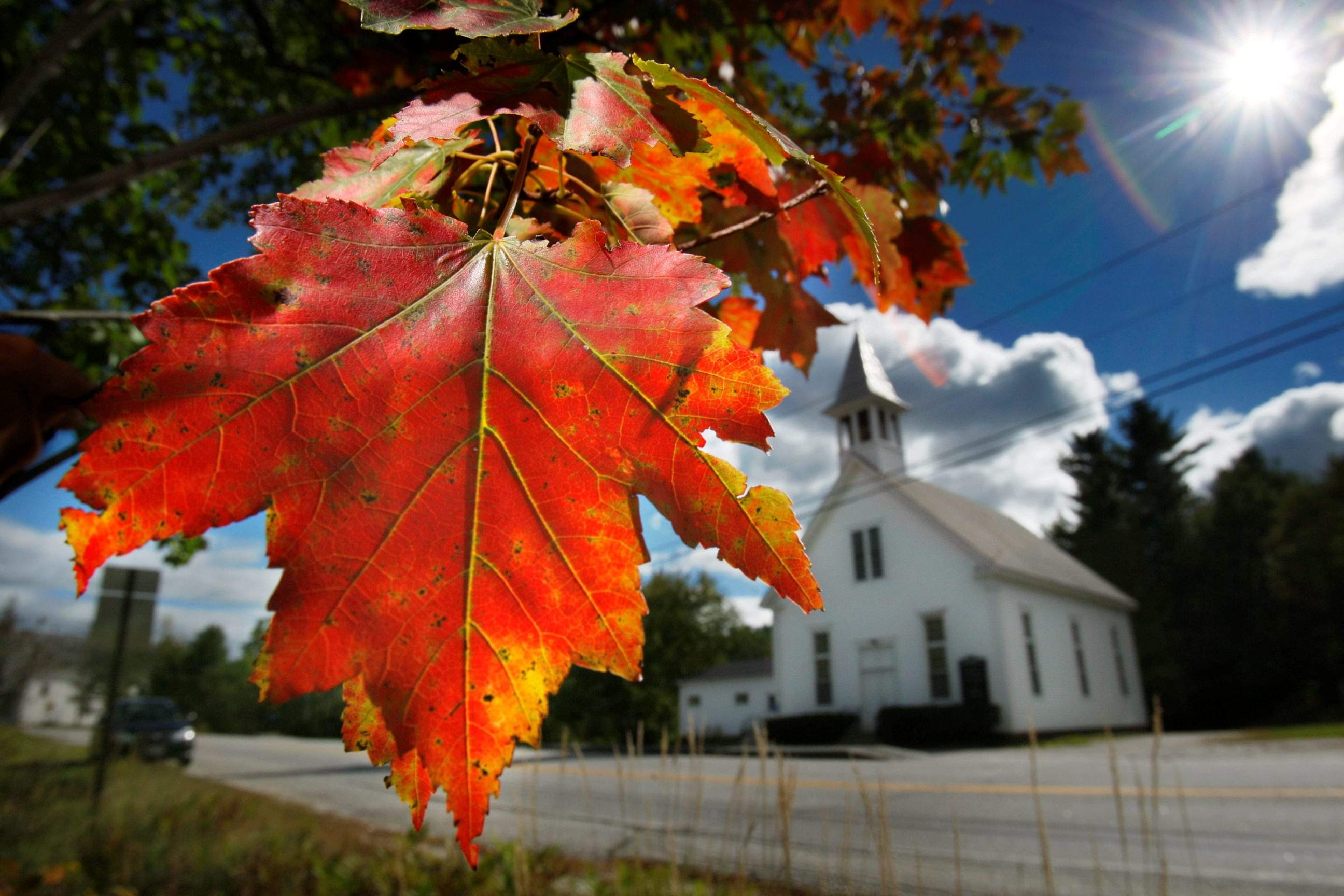 Spectacular' autumn foliage is forecast for New England
