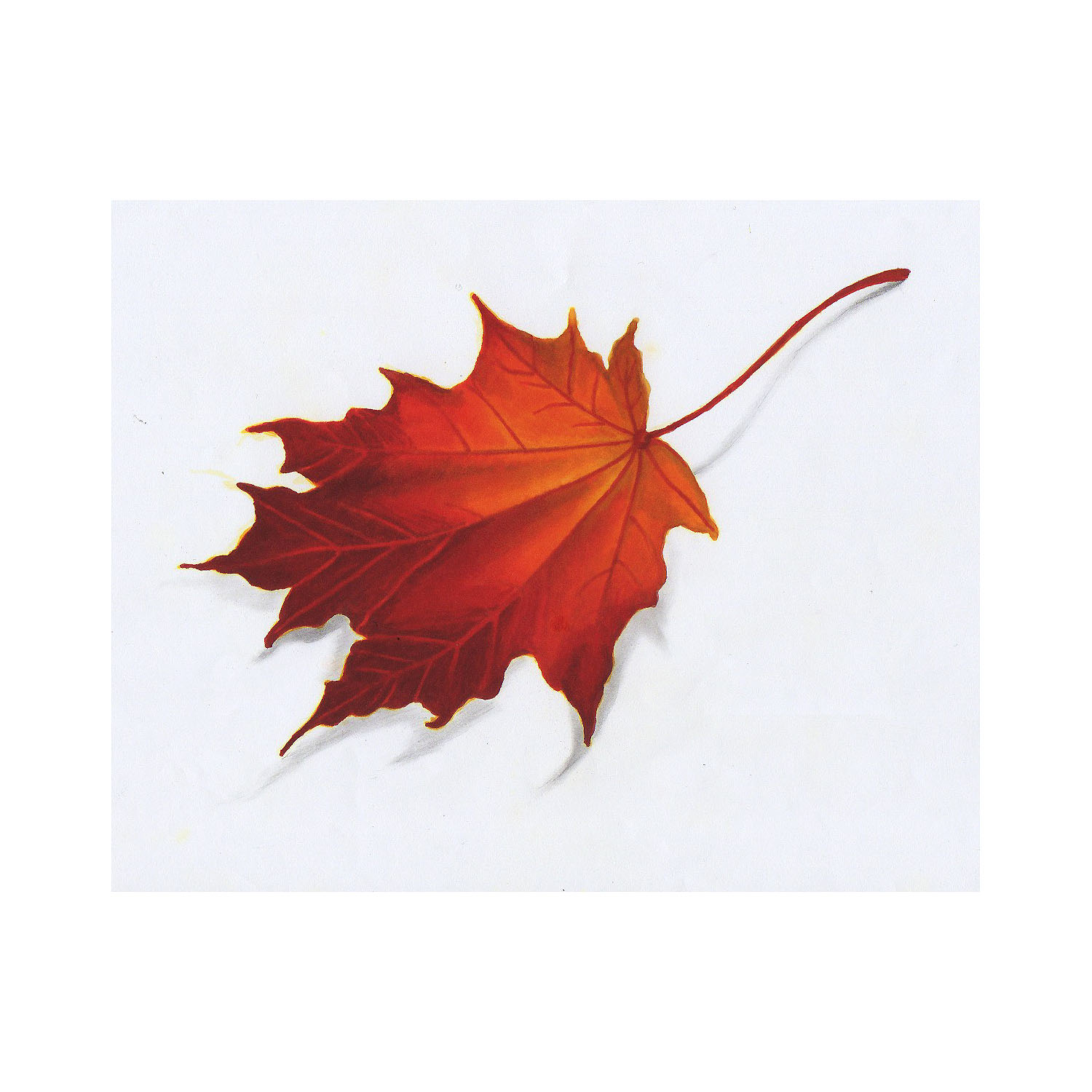 autumn-fall-leaf-drawing-color - Stygian Gallery