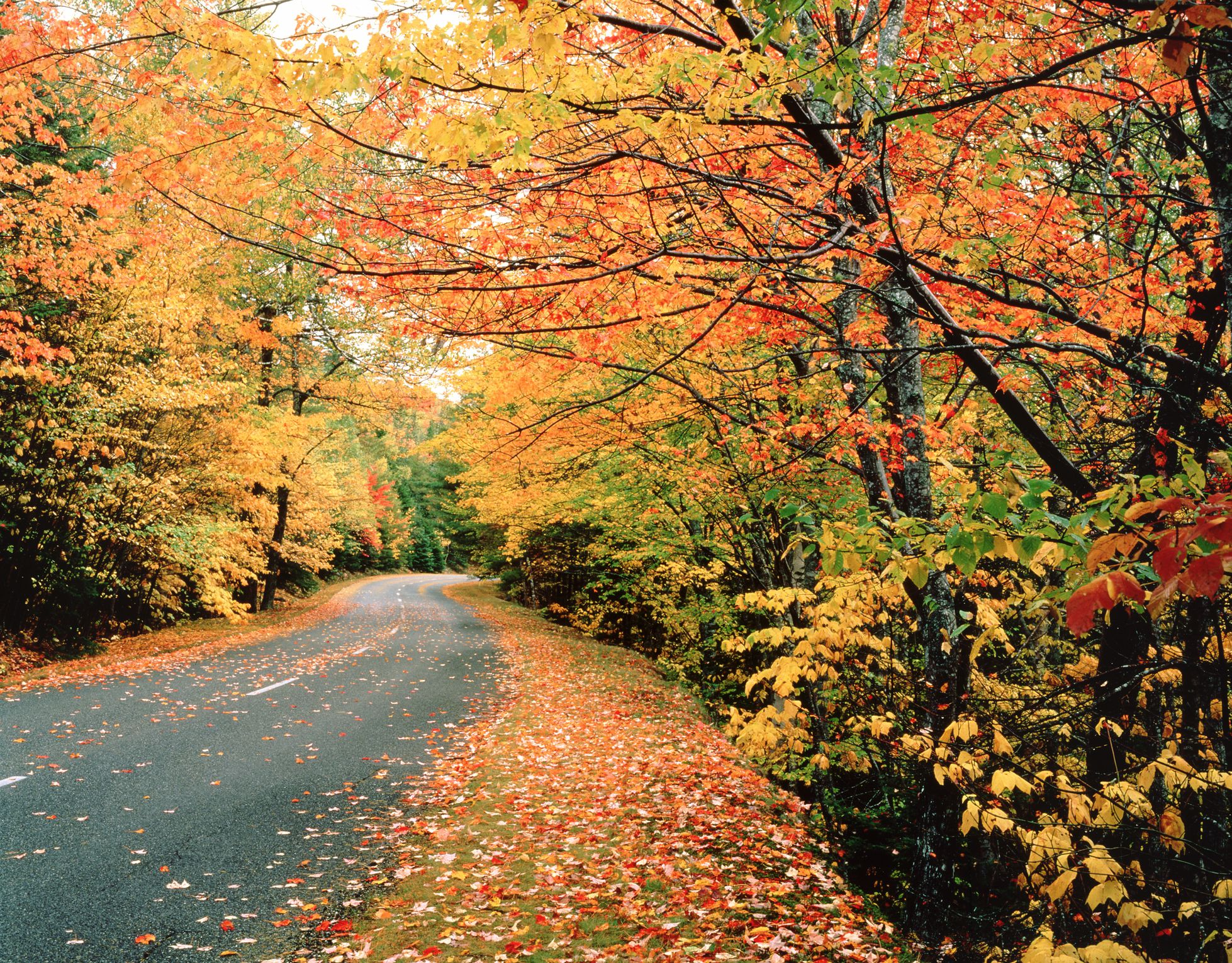 The Best Fall Foliage Destinations in New England