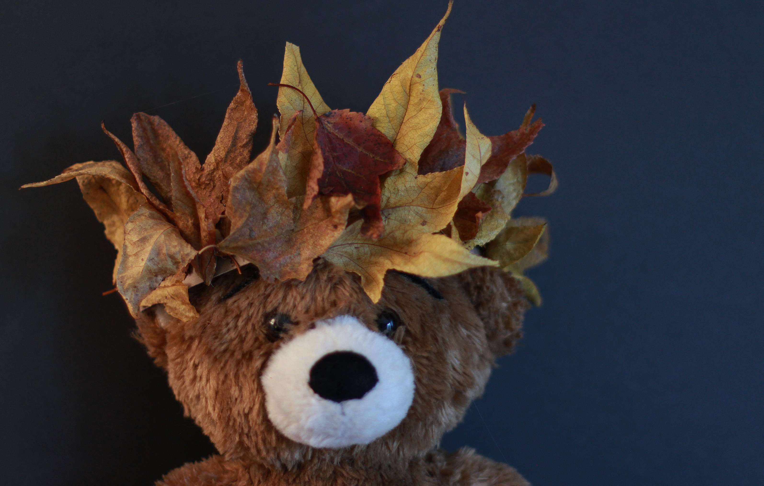 DIY Fall Leaf Crown - Crafts for Kids