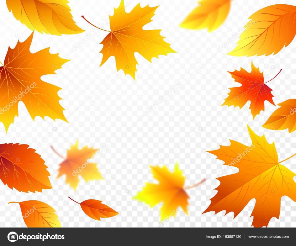 Autumn falling leaves on transparent checkered background. Autumnal ...