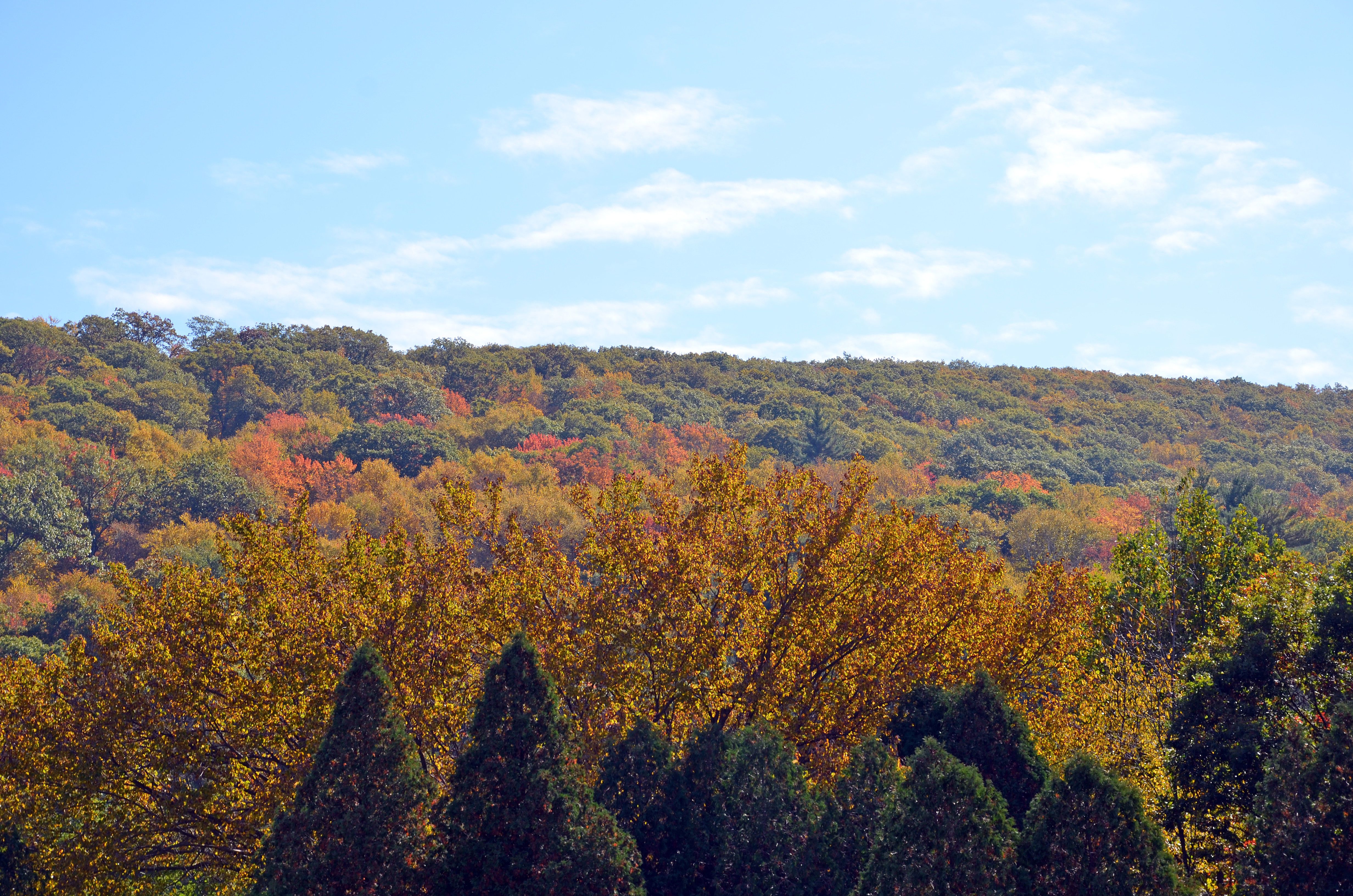 New England Fall Foliage Reports 2016