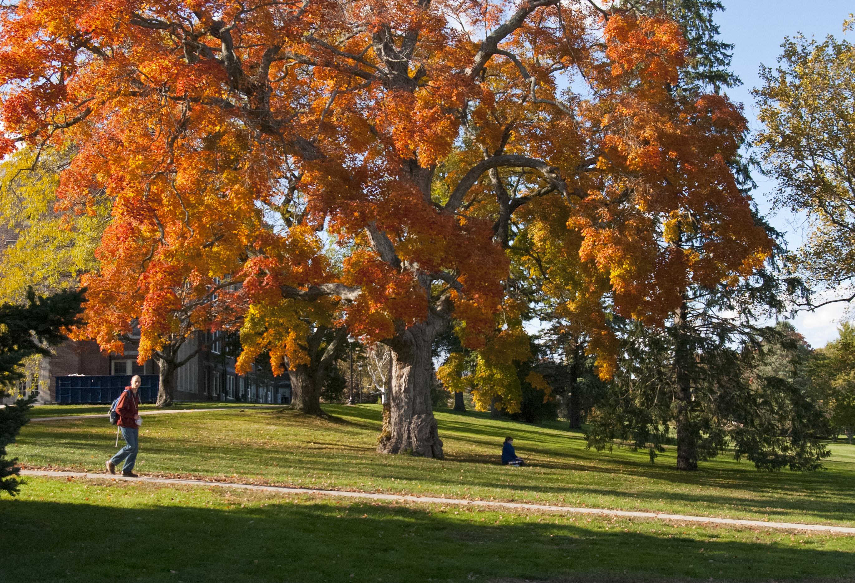 Climate Change Could Affect Fall Foliage Timing - UConn Today