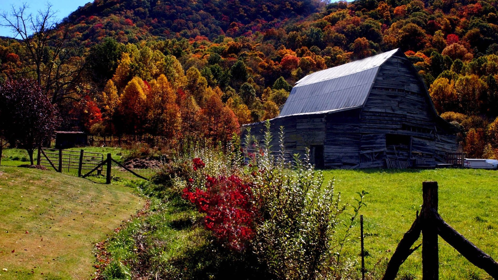 Seven Sensational Spots to See the Fall Leaves | Visit Now!