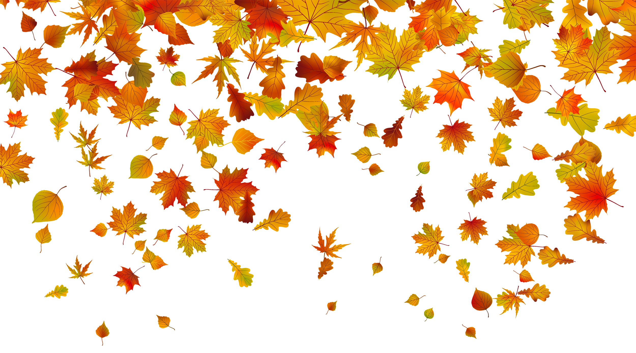 Transparent Fall Leaves PNG Clipart Image | Gallery Yopriceville ...