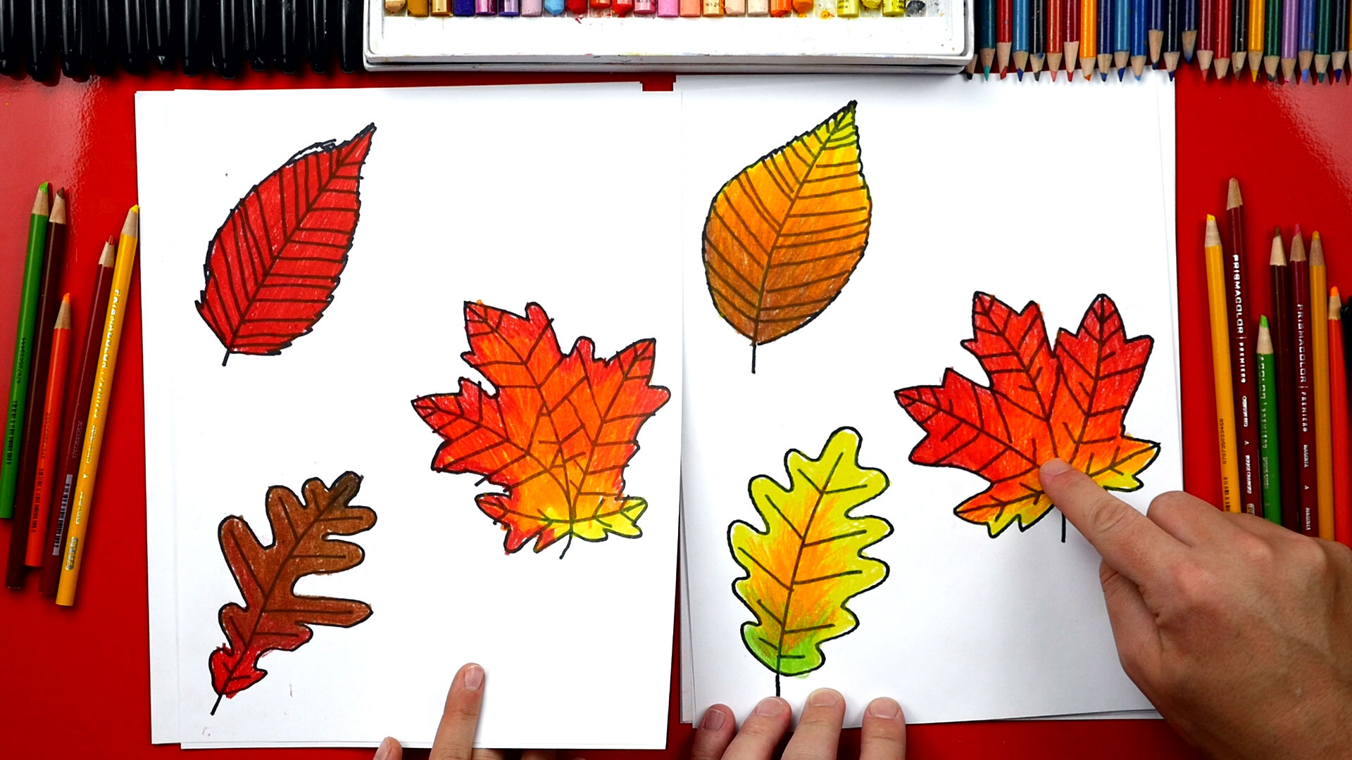How To Draw Fall Leaves - Art For Kids Hub -