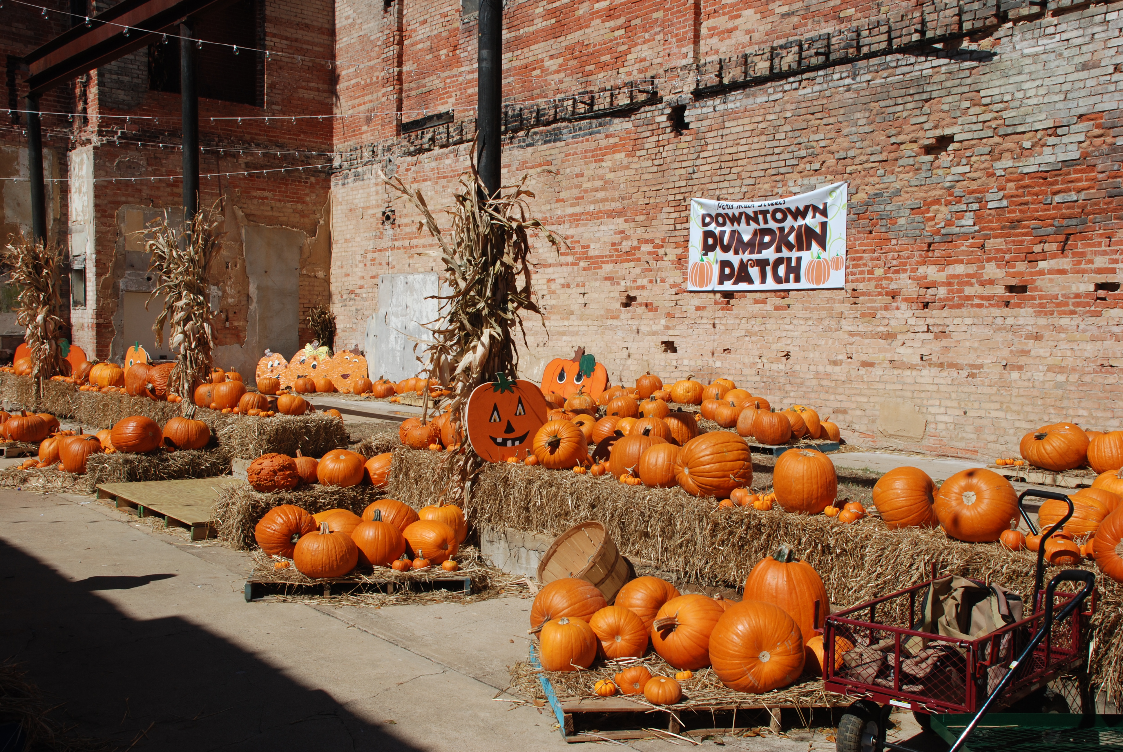 File:Fall Pumpkin Market Paris Texas DSC 0646 ad.JPG - Wikimedia Commons