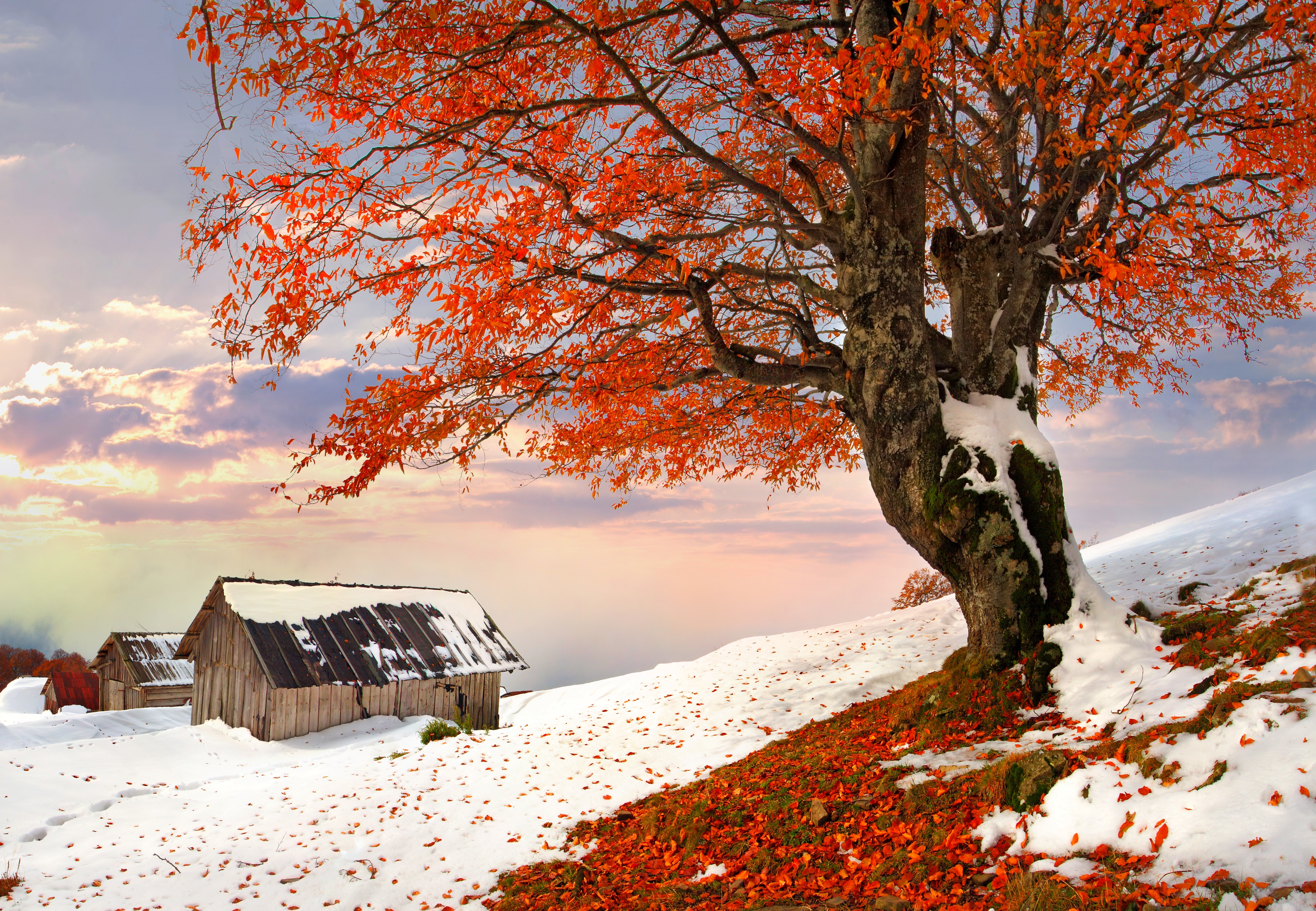 Autumn and winter together / 5770 x 3995 / Other / Photography ...