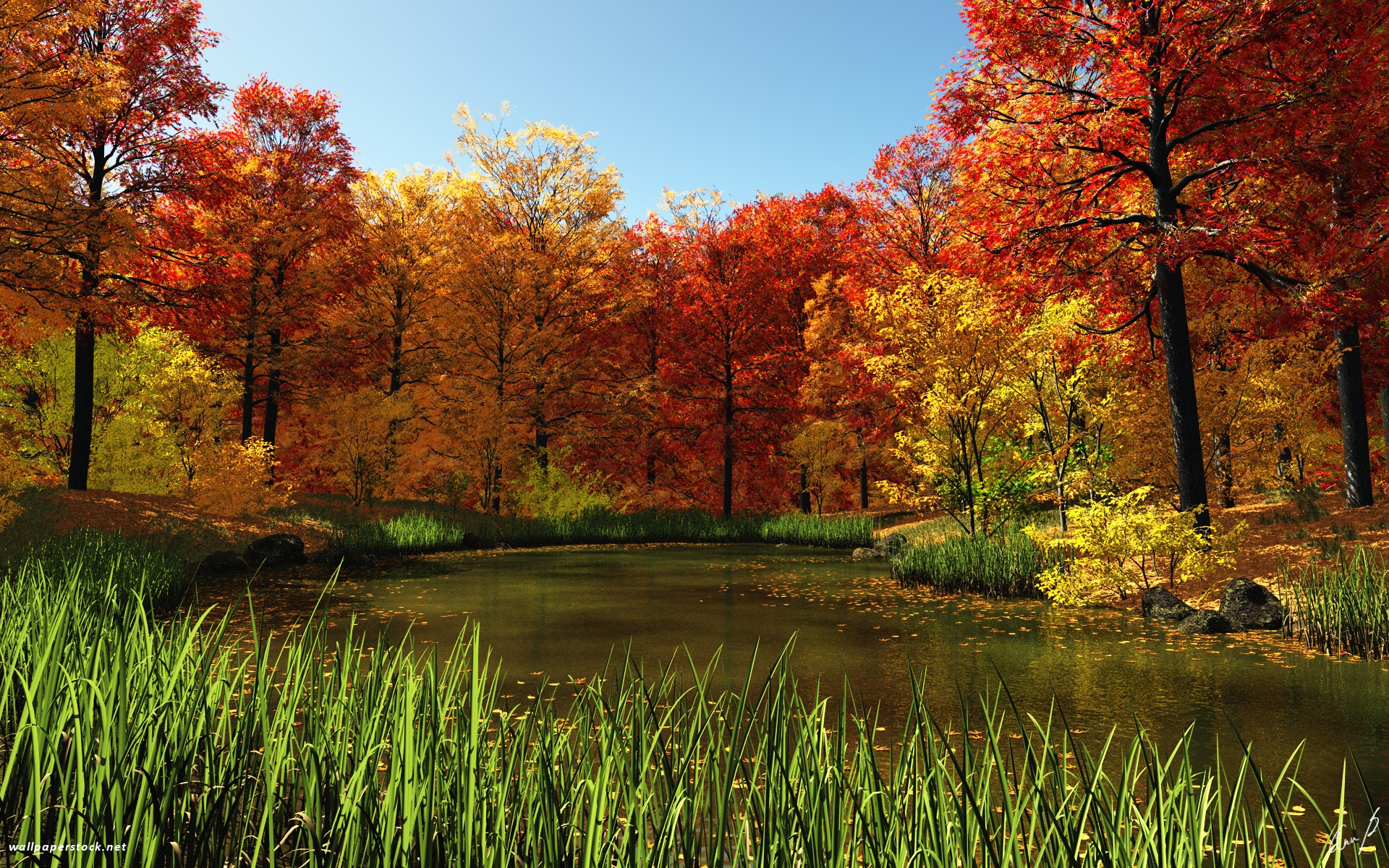 Fall Pond wallpapers | Fall Pond stock photos