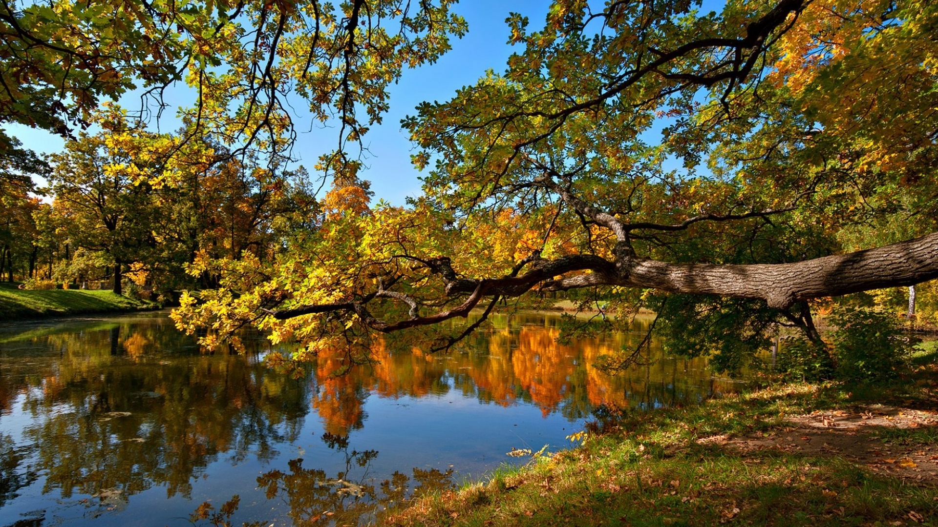 Download Wallpaper 1920x1080 fall, pond, trees, landscape Full HD ...