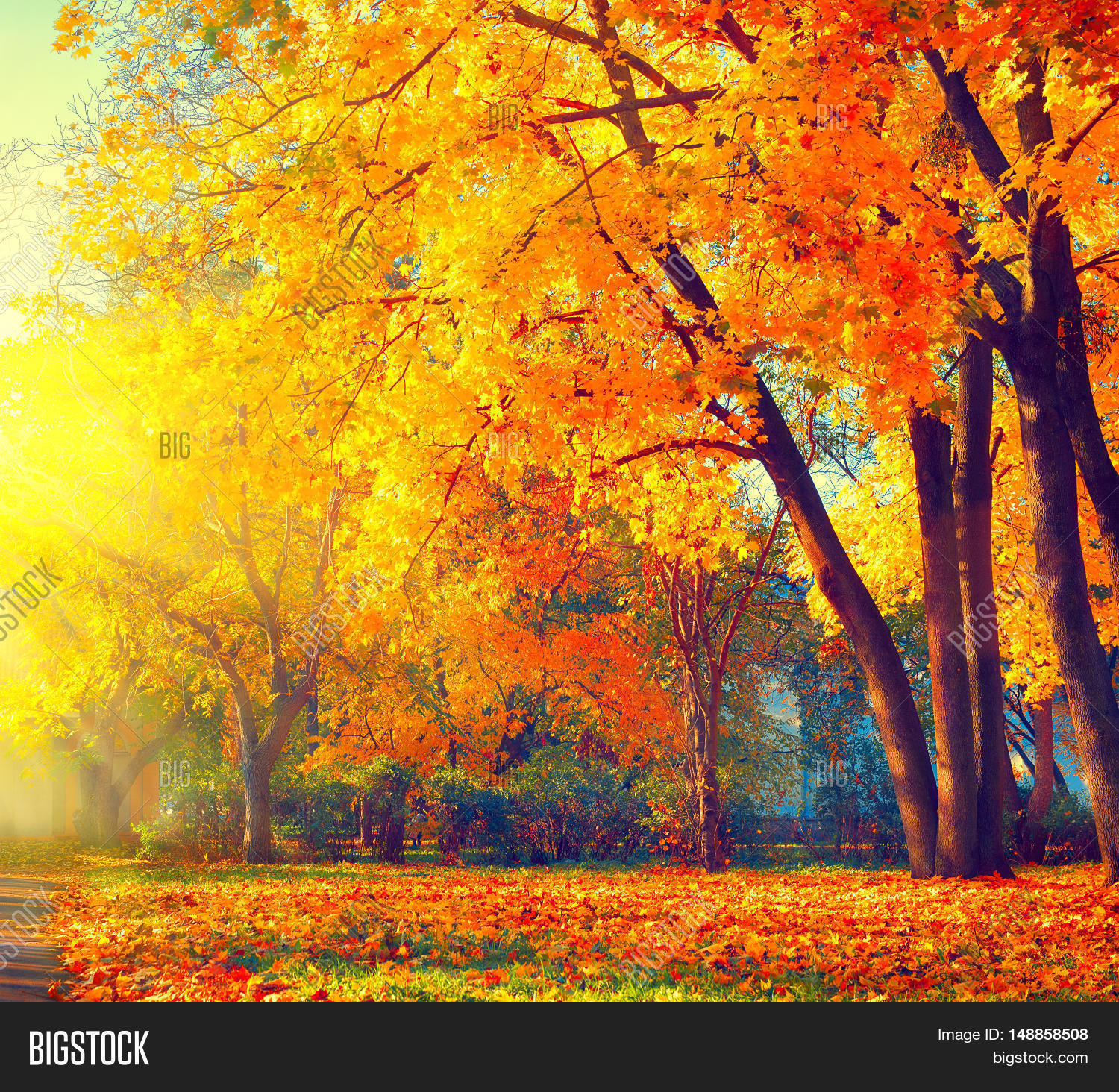 Autumn. Fall Scene. Image & Photo (Free Trial) | Bigstock