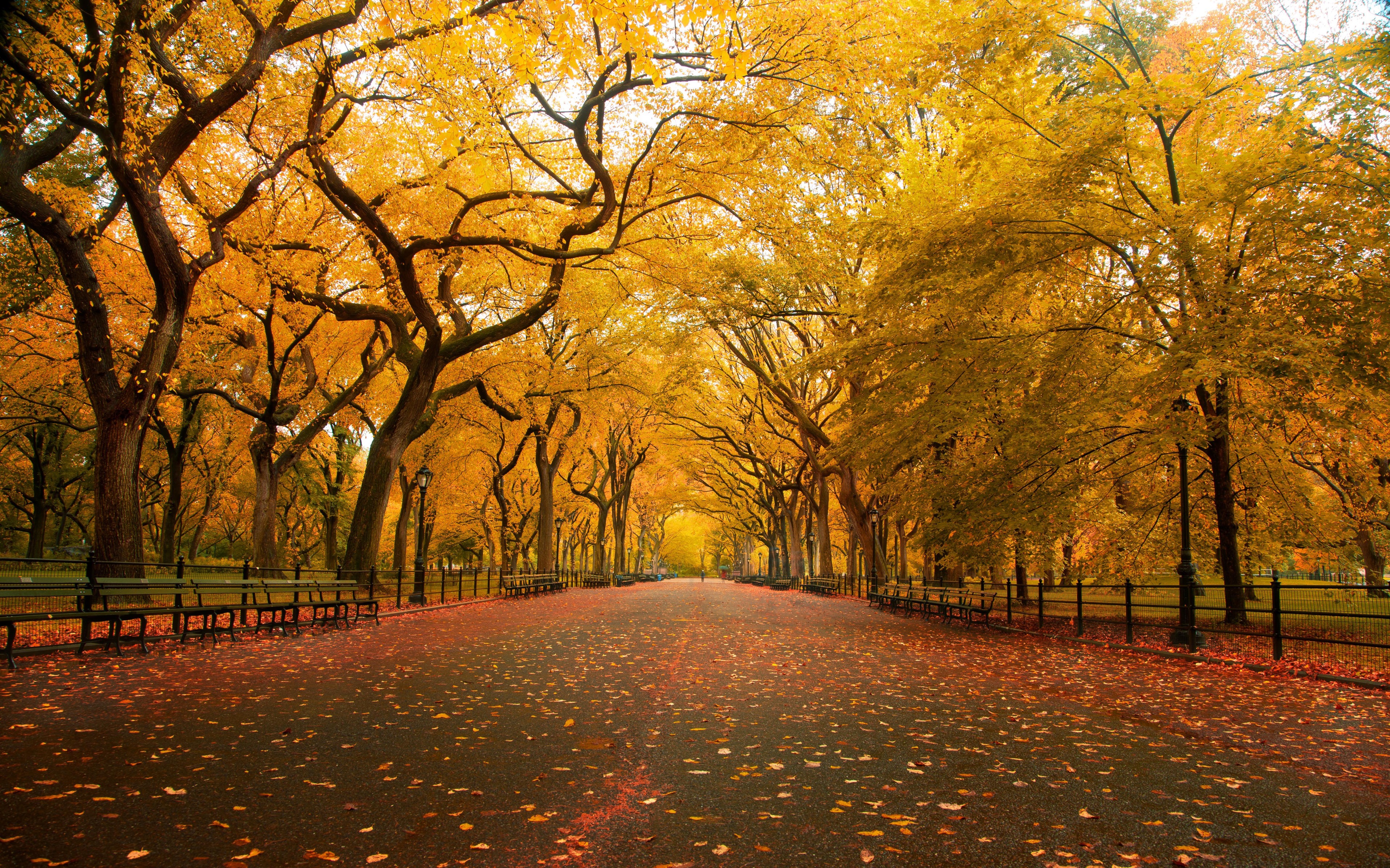 United States, New York, New York City, Central Park in the Fall ...