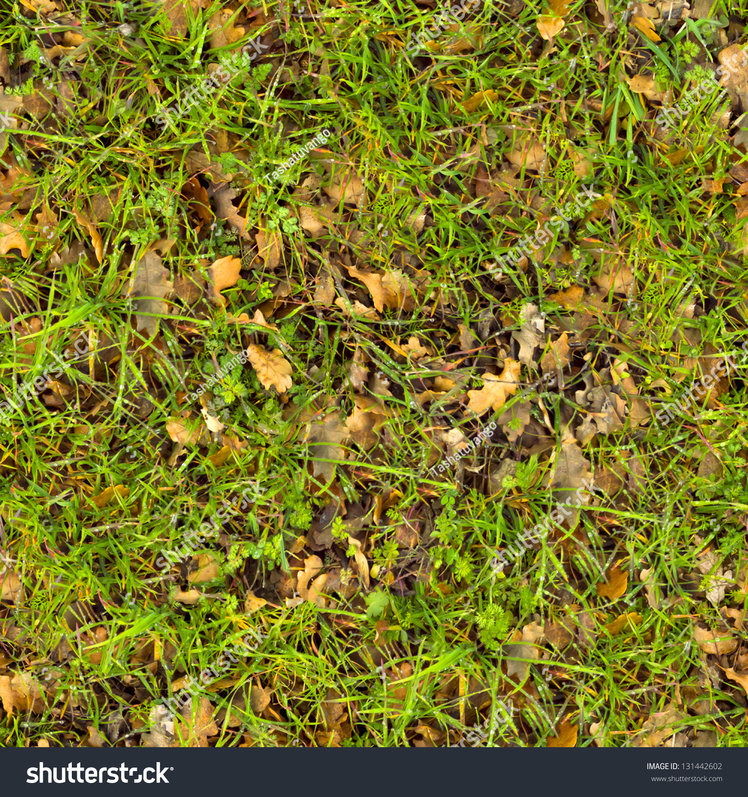 Forest Soil Grass Seamless Tileable Texture Stock Photo 131442602 ...