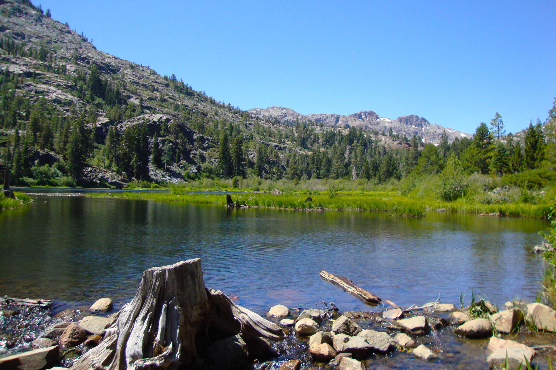 Fallen Leaf Campground, Lake Tahoe Basin, CA: 4 Hipcamper reviews ...