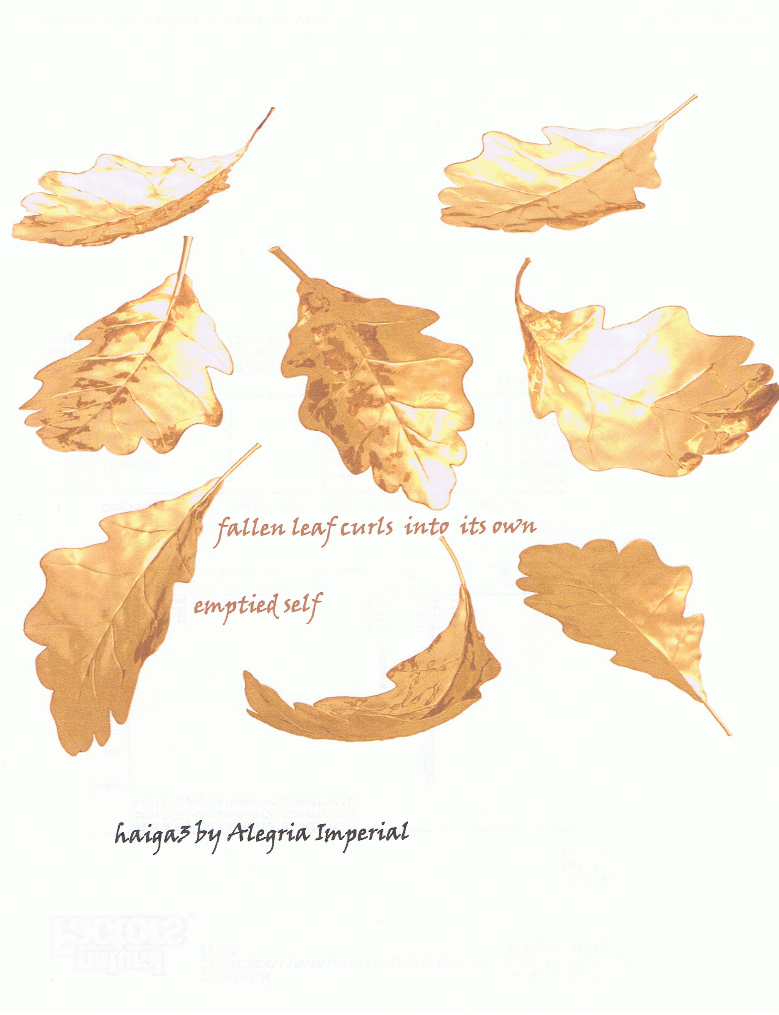 Fallen Leaf Drawing - ClipartXtras