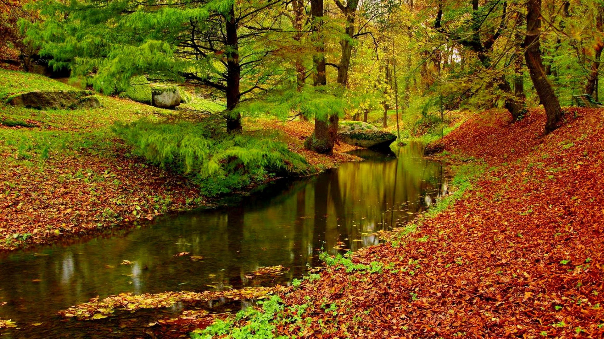 Autumn Landscape River Forest Fallen Leaves Red HD Wallpaper ...