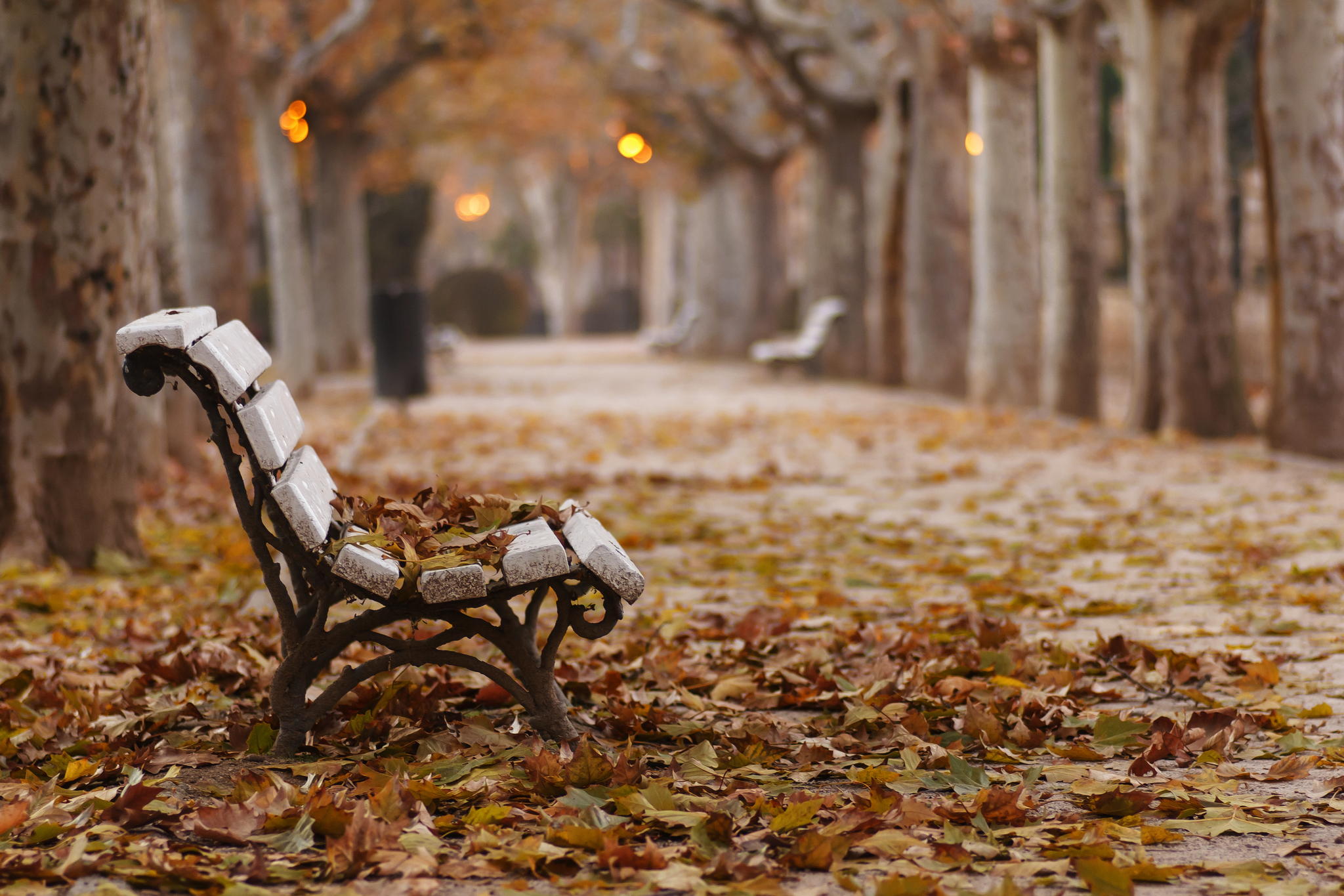 Autumn Park Bench Fallen Leaves Desktop Wallpaper