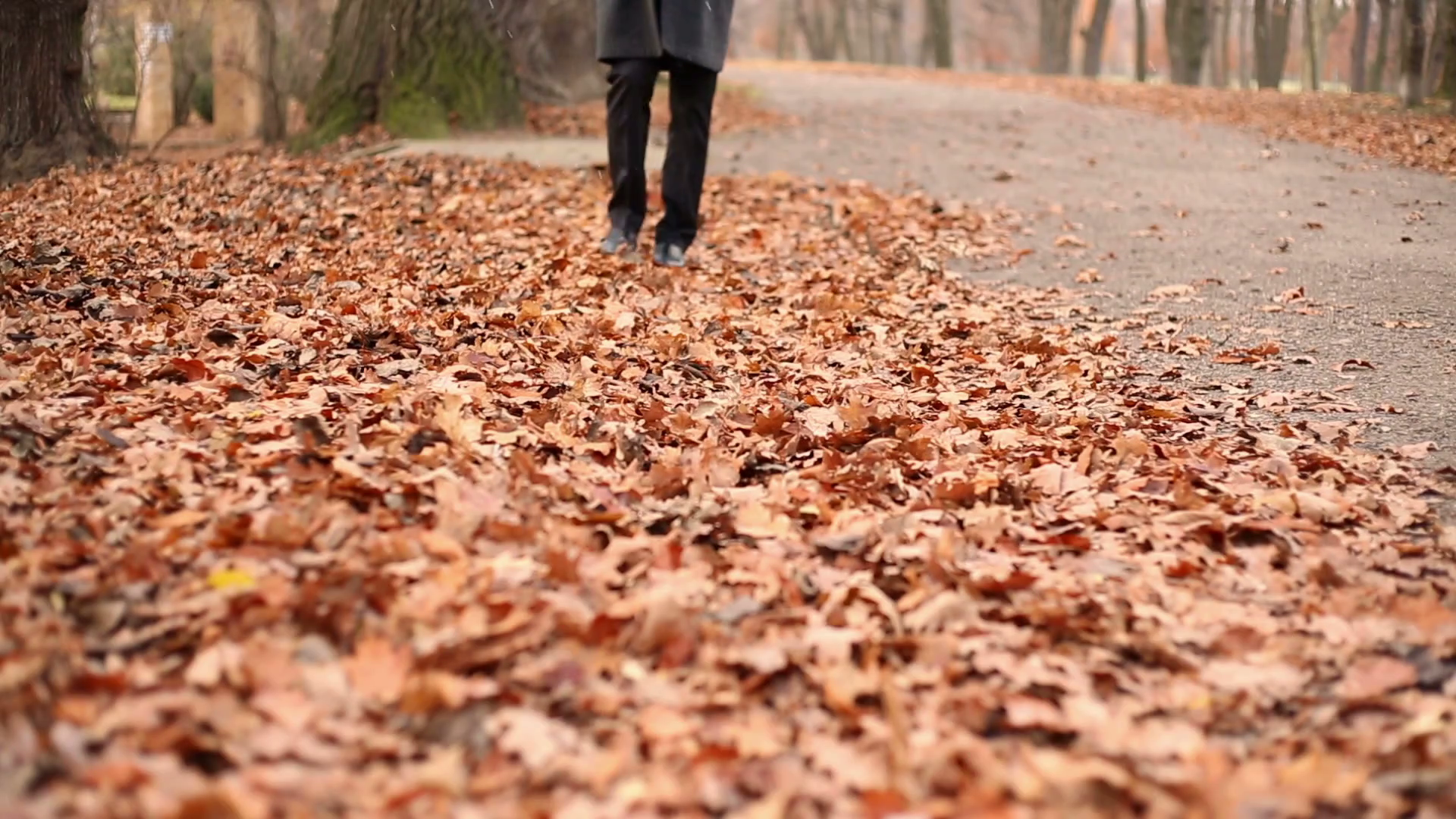 Legs, man walking on the fallen leaves in autumn park Stock Video ...