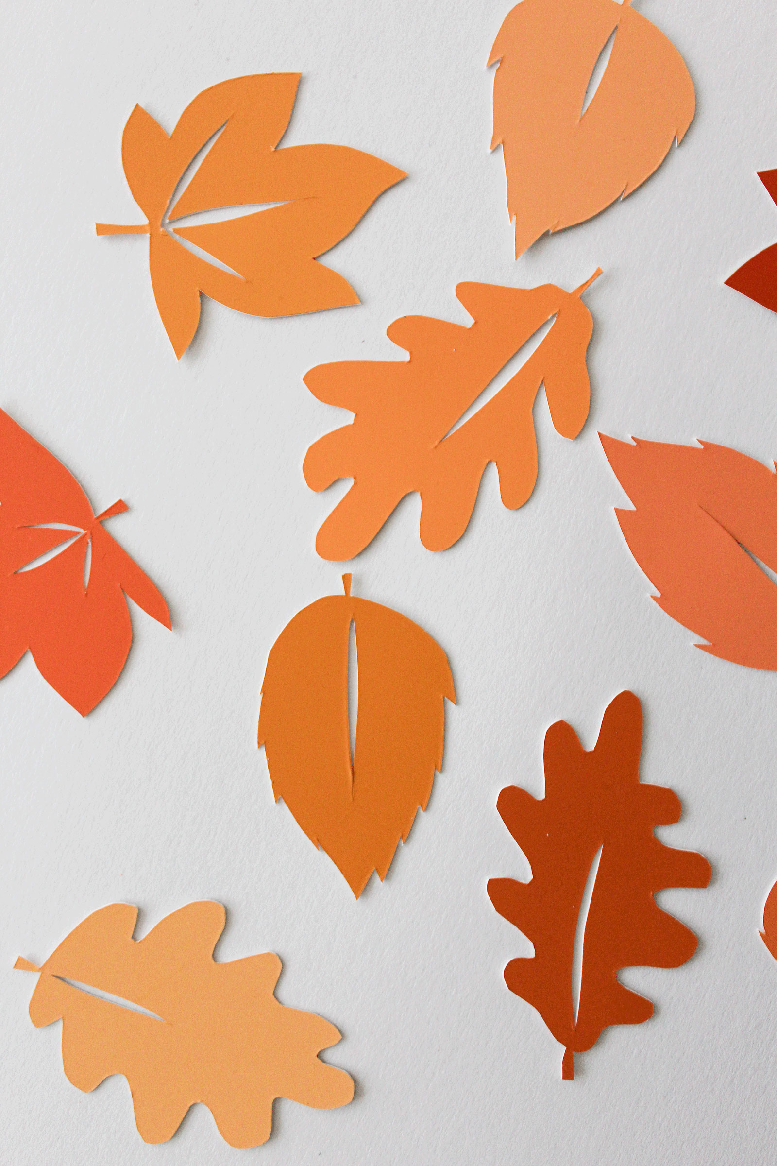 DIY} Fallen Leaves Picture - Albert and Me