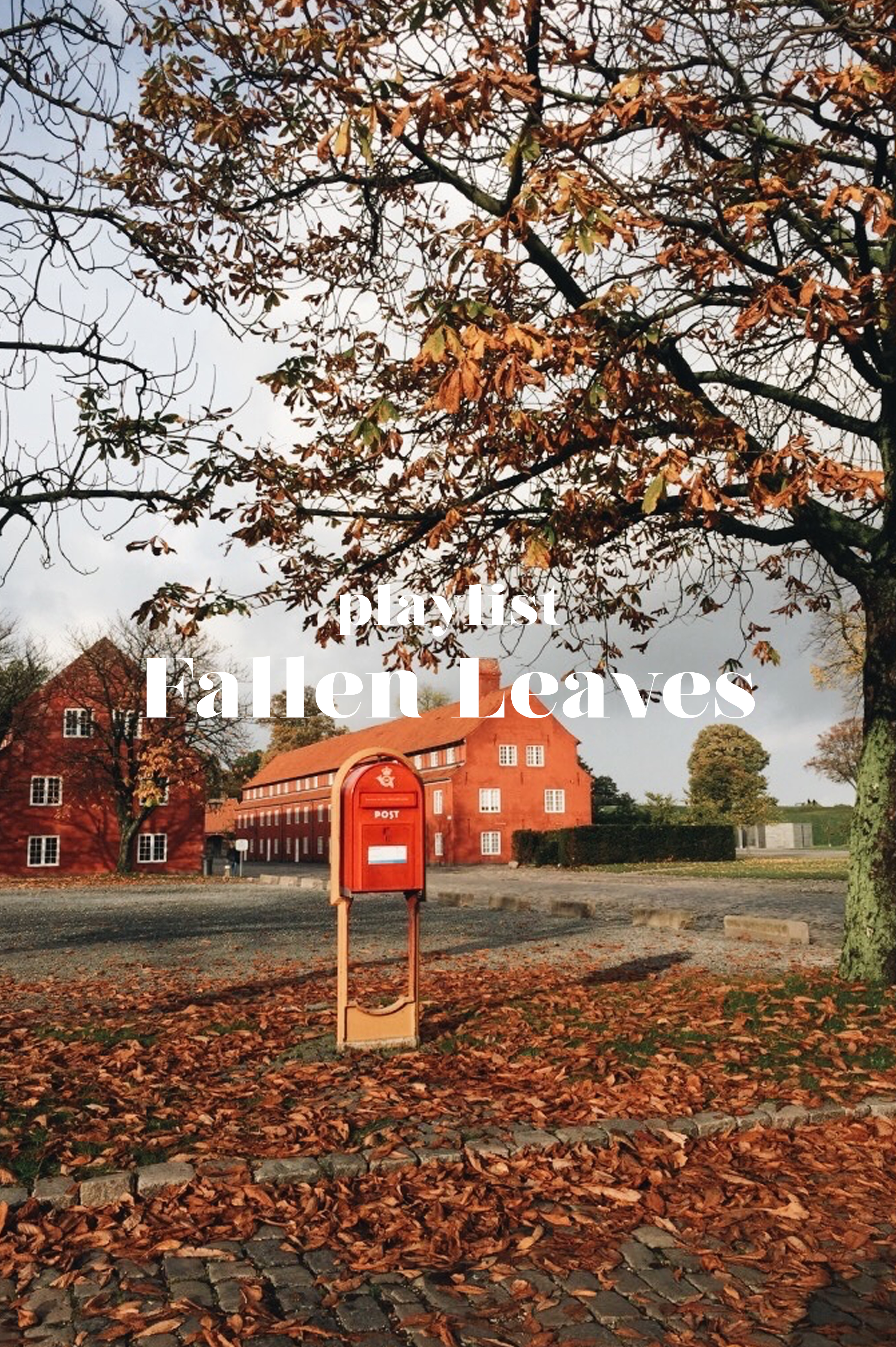 Fallen Leaves - Exquise