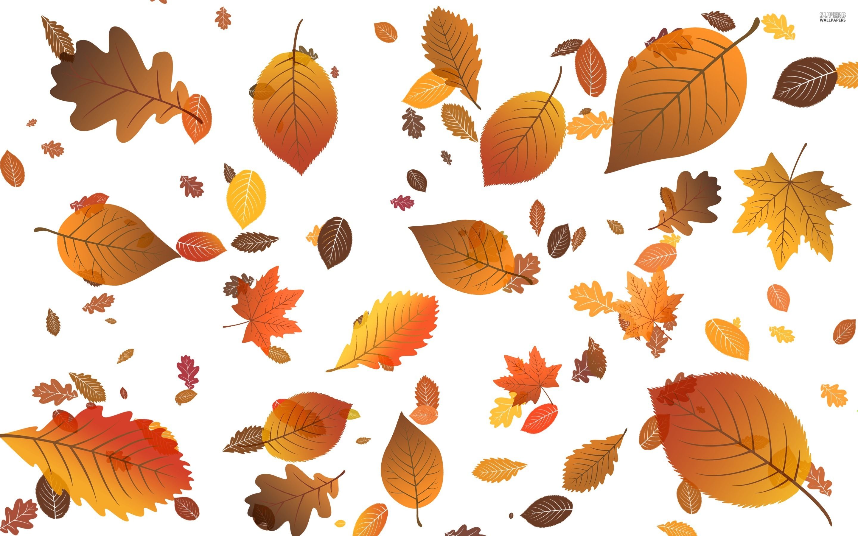 falling-leaves-23367-2880x1800.jpg (2880×1800) | fall leaves ...