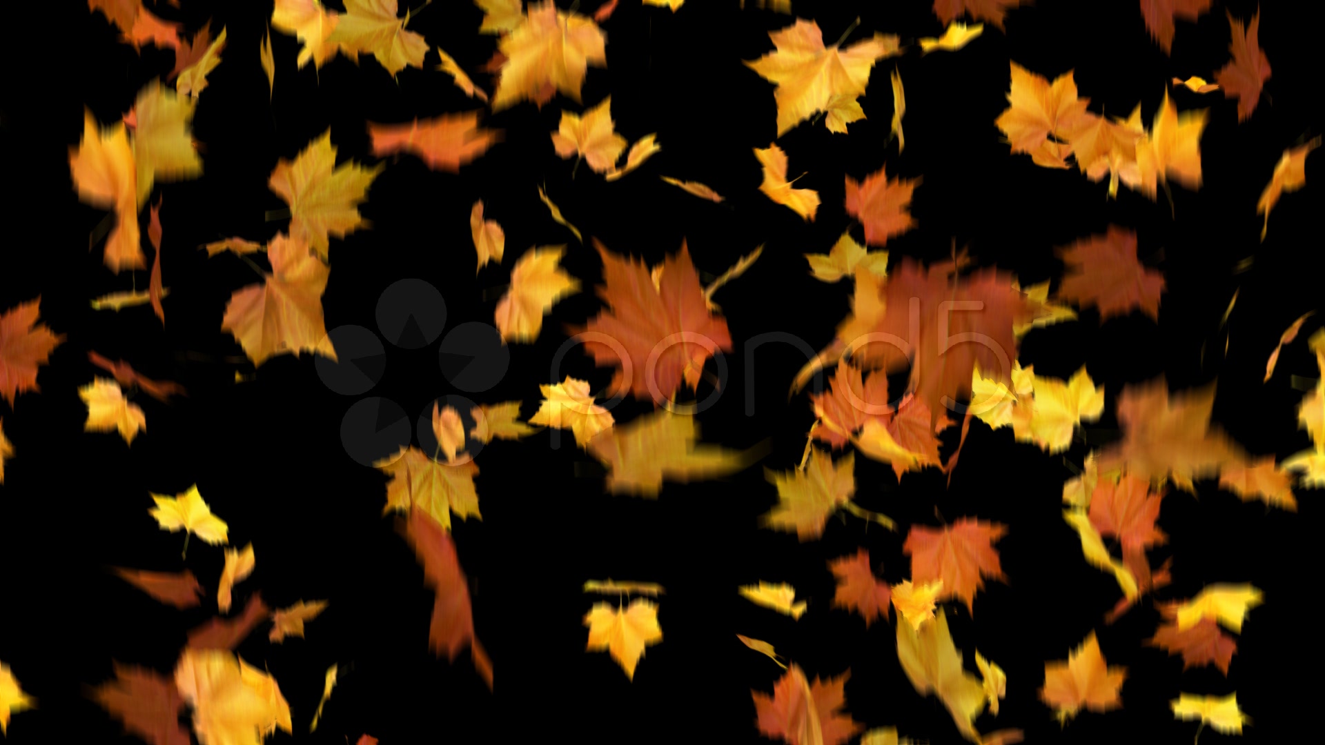 Падающие листья анимация