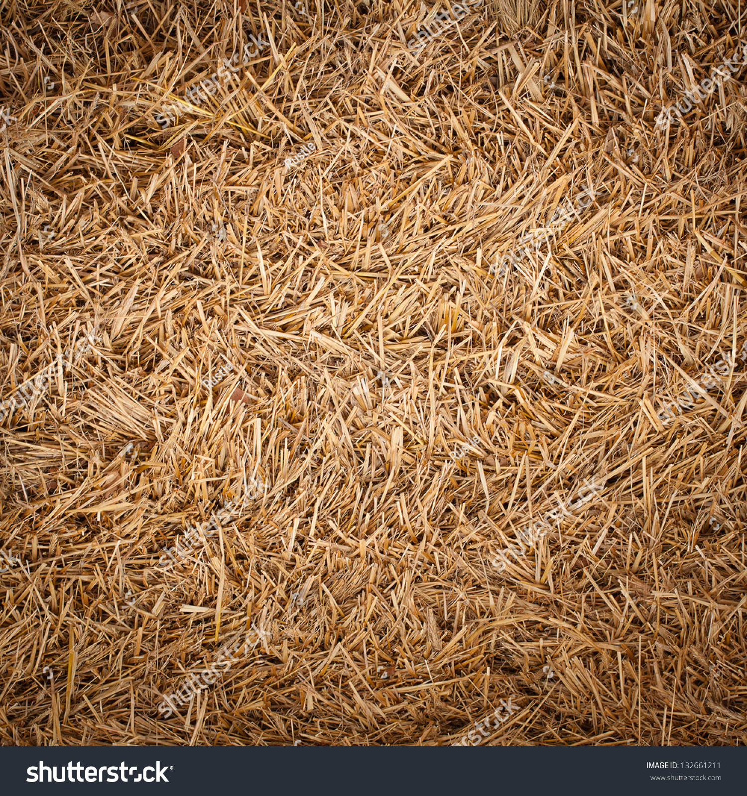 Straw Texture Stock Photo 132661211 - Shutterstock