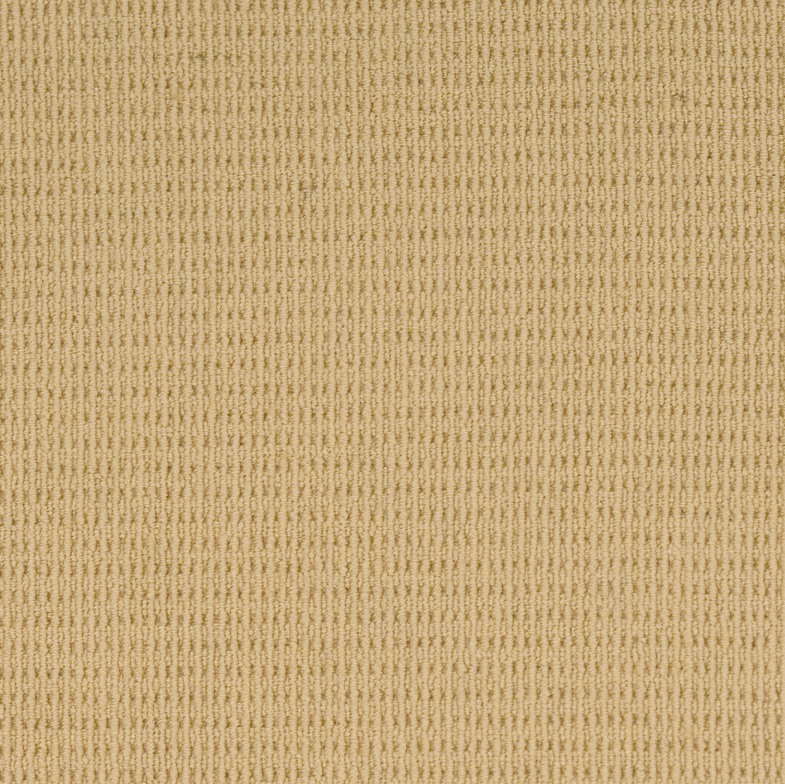 Carpet - Carpeting - Loop - Berber - Pattern - Texture - Rite Rug