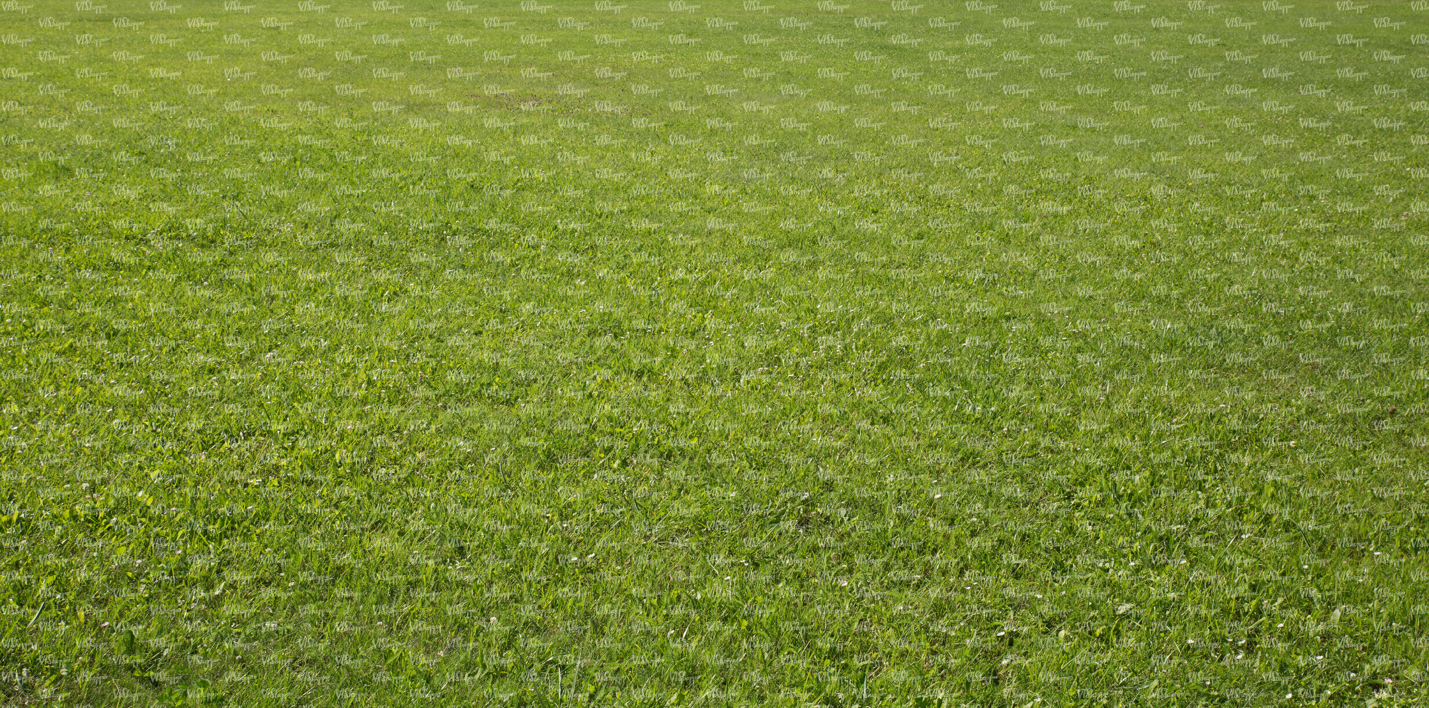 garden lawn texture - ground textures - VIShopper