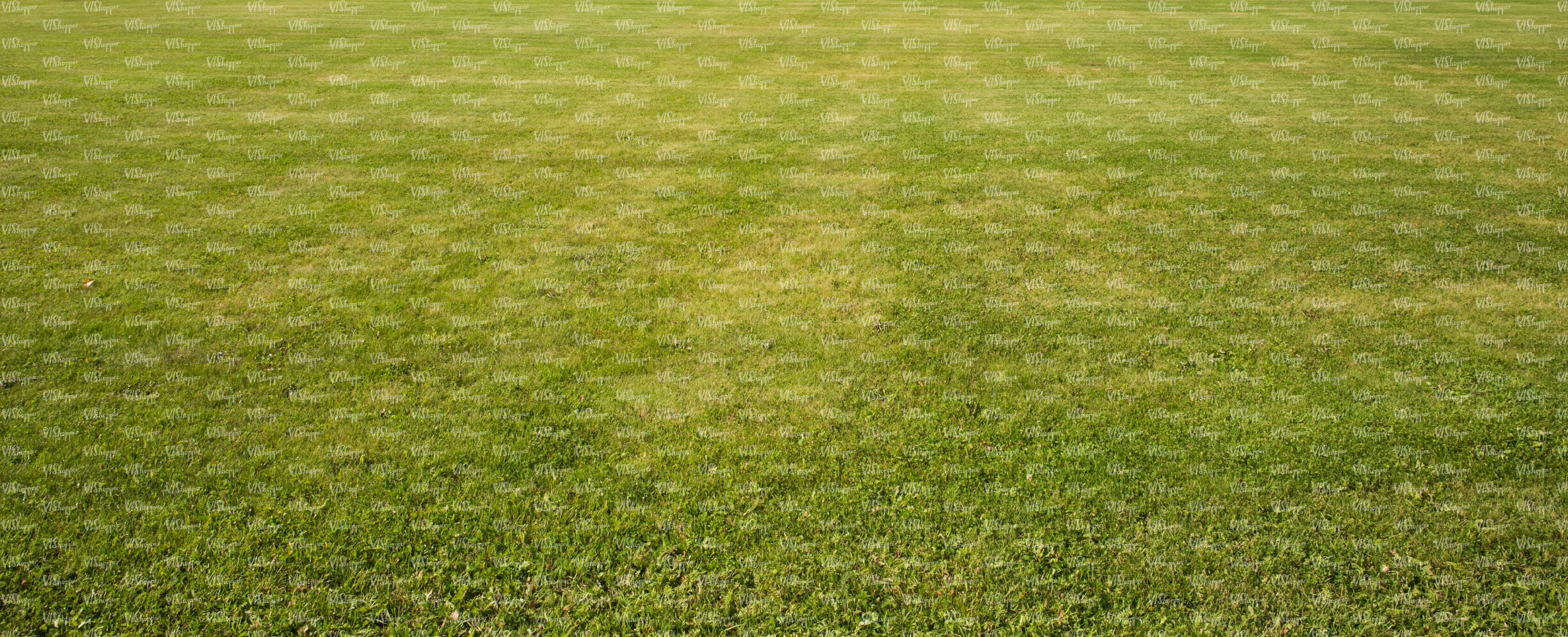 green lawn texture - ground textures - VIShopper